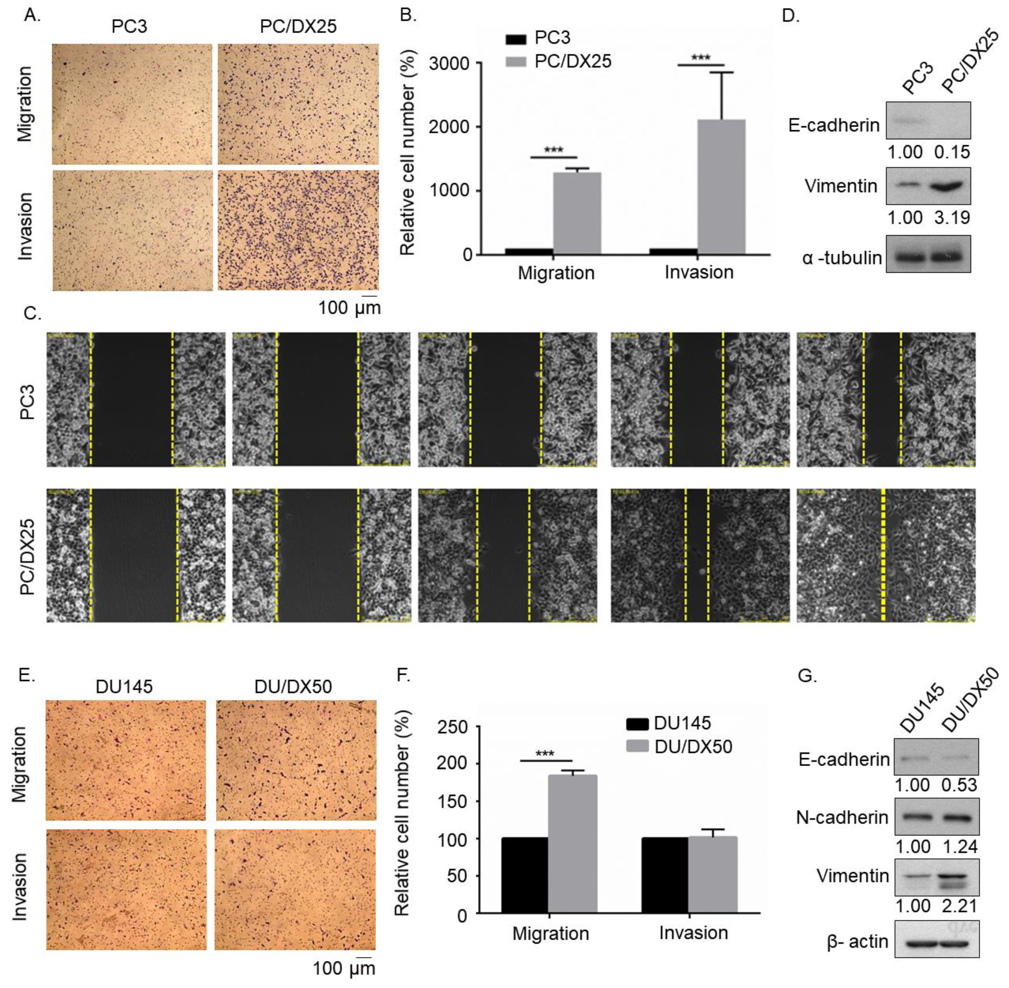 Cells 08 00295 g001 Cells 08 00295 g001