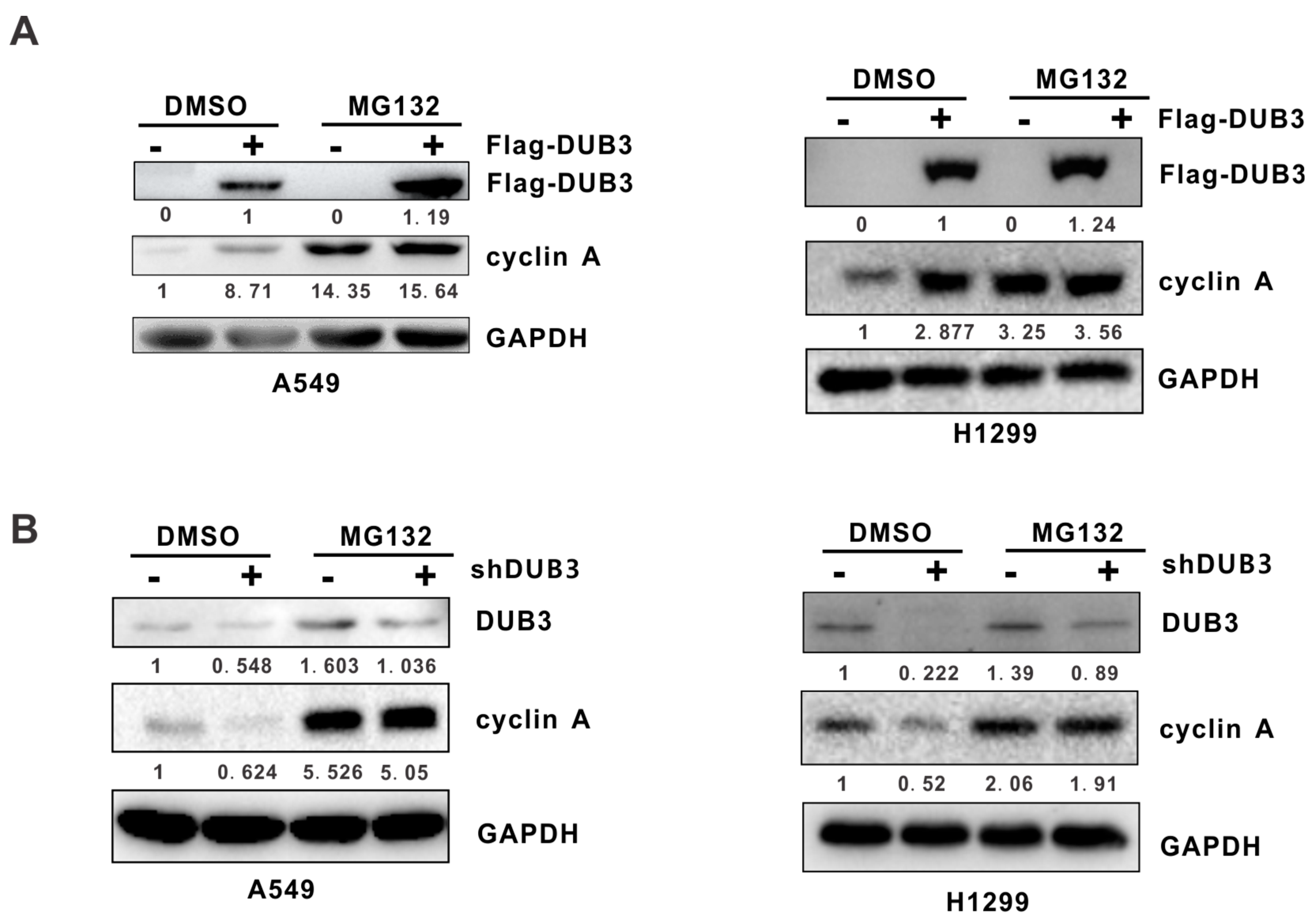 Cells 08 00297 g002 Cells 08 00297 g002
