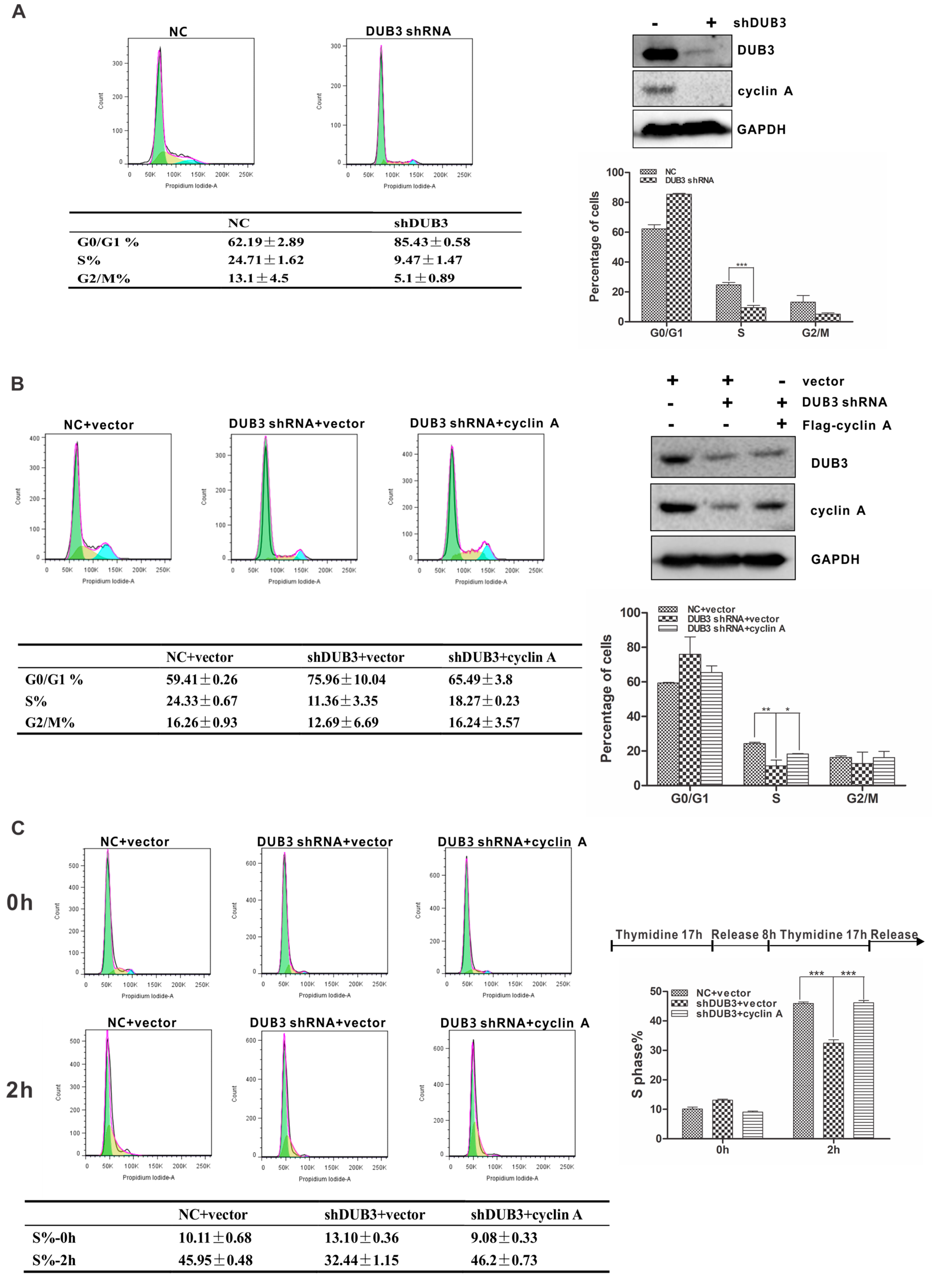 Cells 08 00297 g005 Cells 08 00297 g005