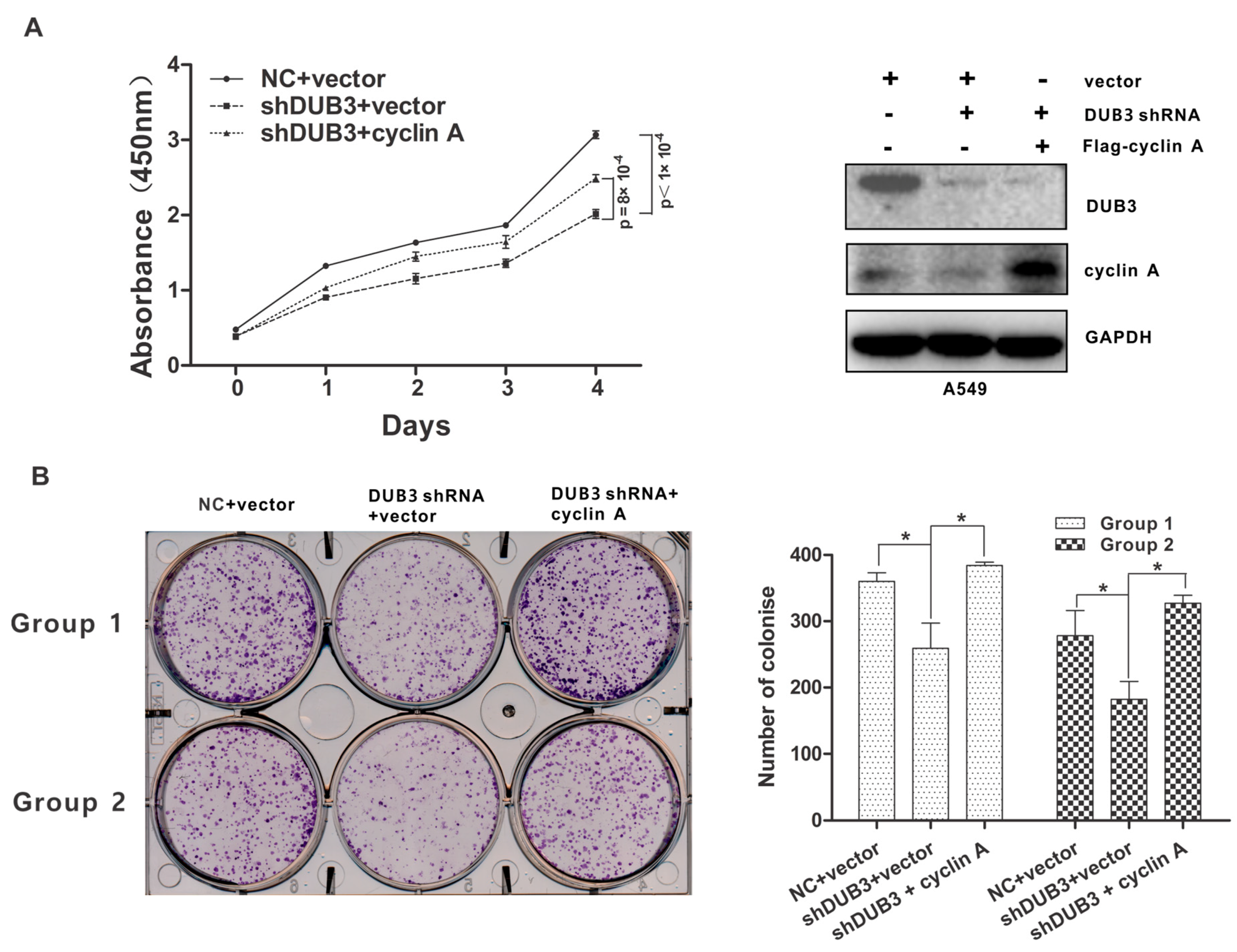 Cells 08 00297 g006 Cells 08 00297 g006
