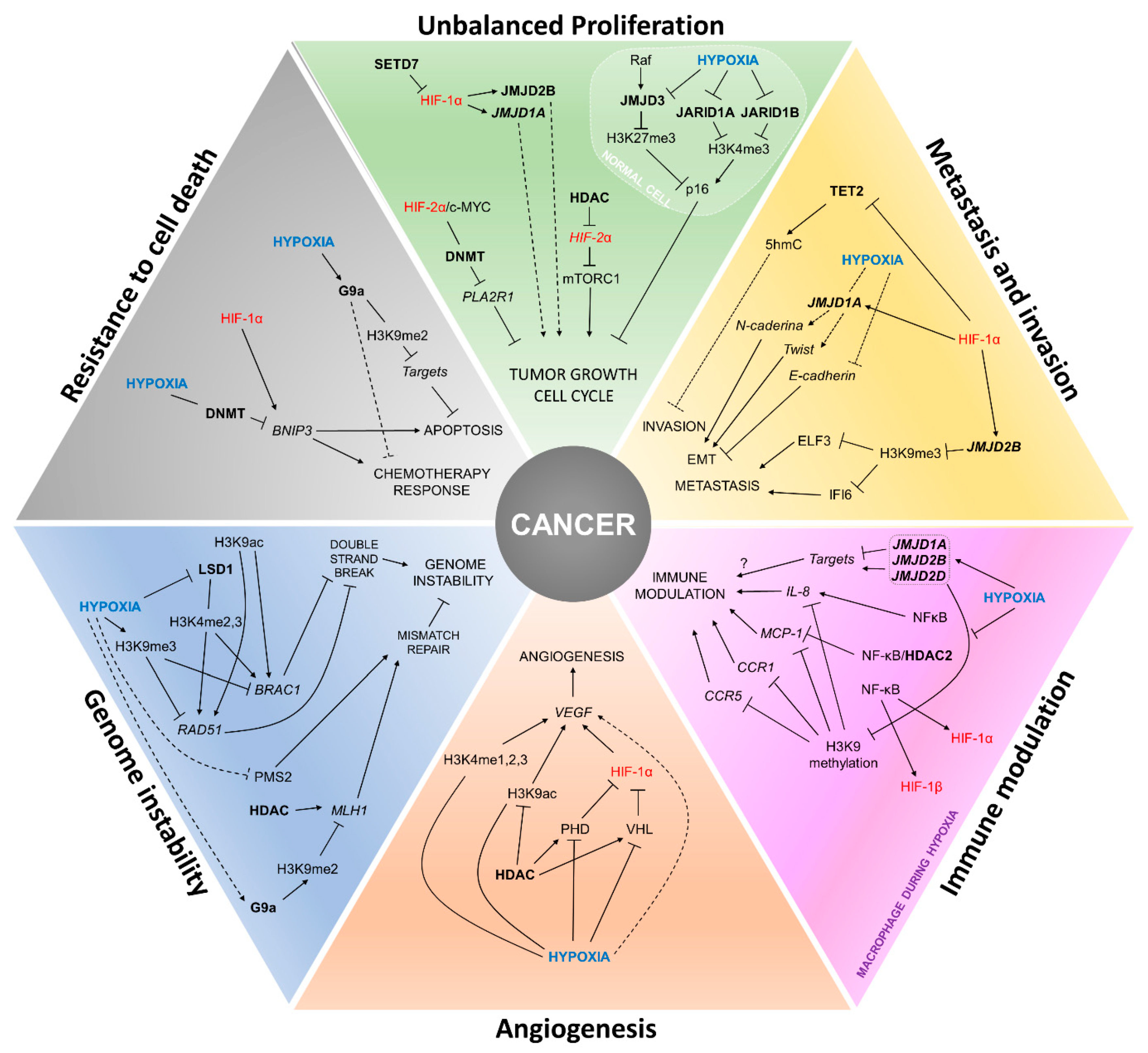 Cells 08 00300 g002 Cells 08 00300 g002