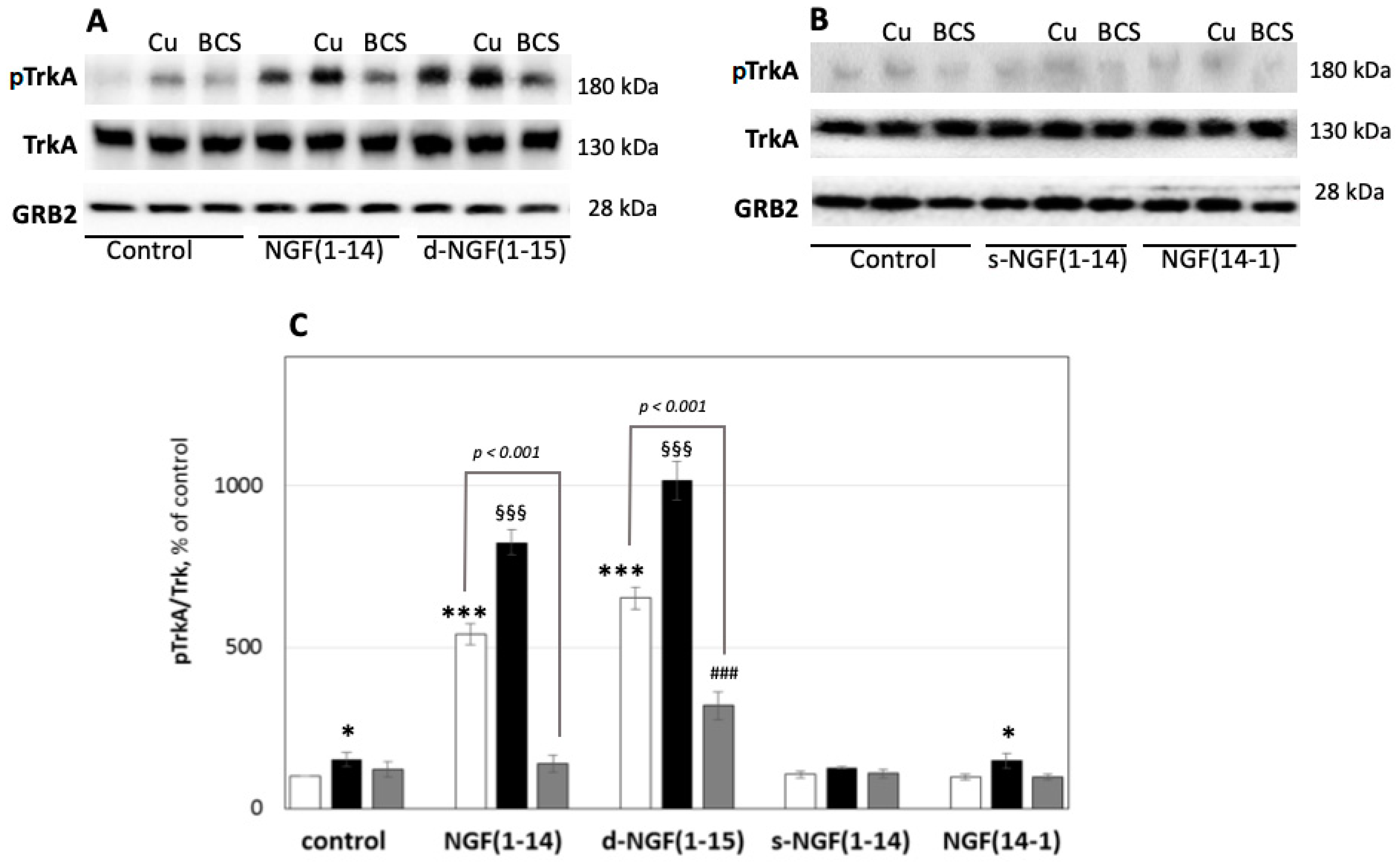 Cells 08 00301 g005 Cells 08 00301 g005
