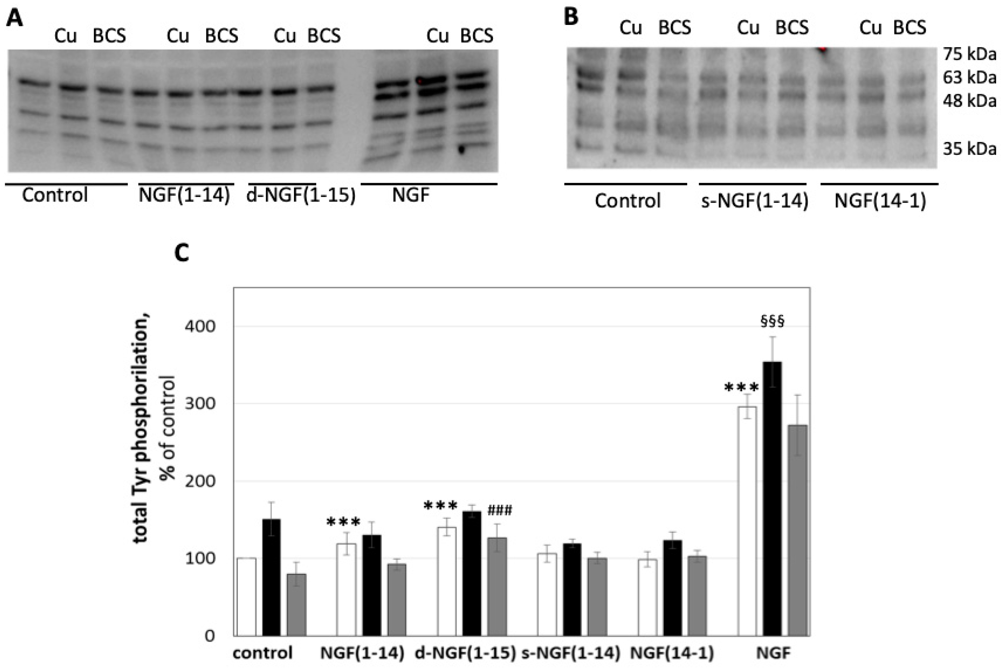 Cells 08 00301 g010 Cells 08 00301 g010