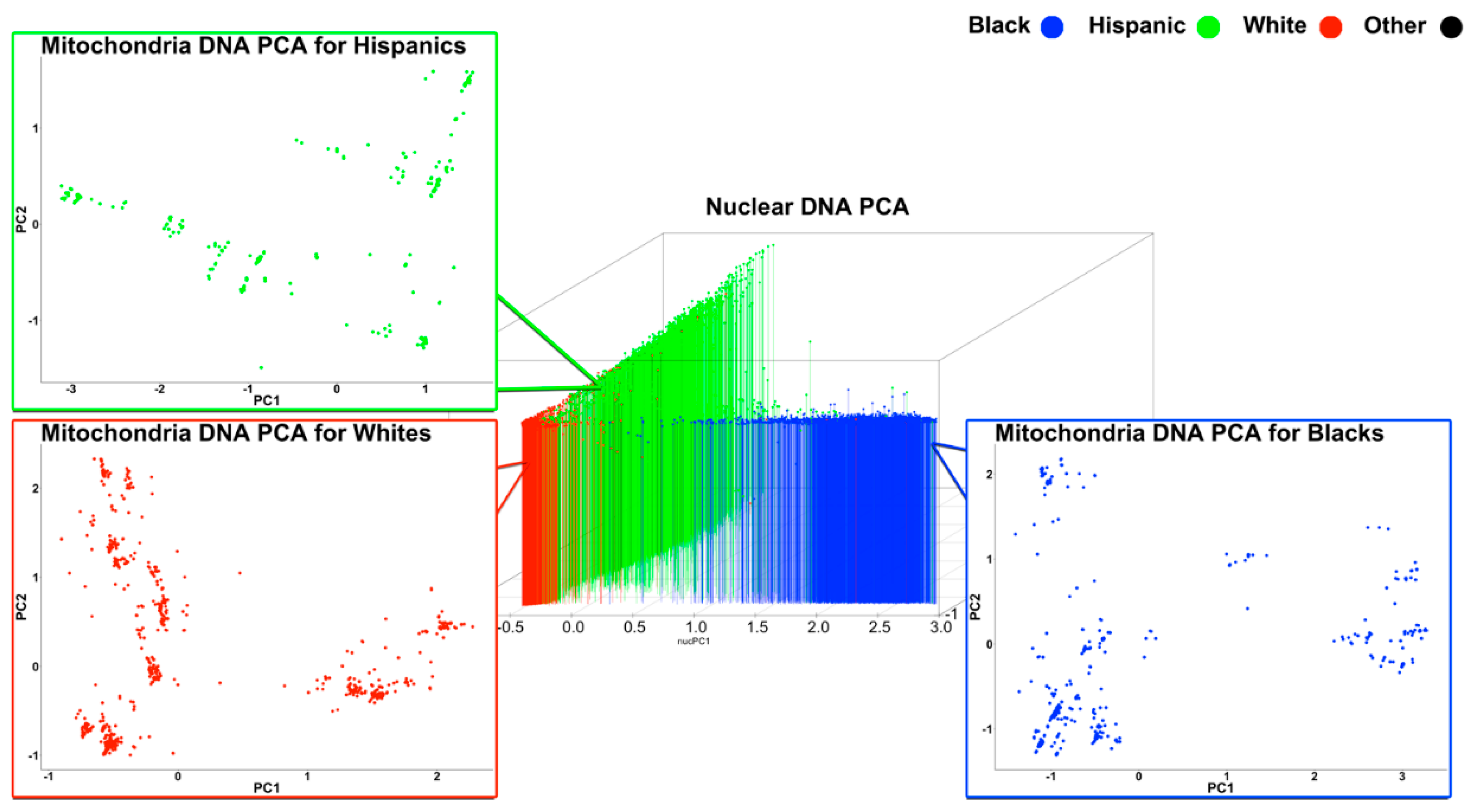 Cells 08 00306 g002 Cells 08 00306 g002