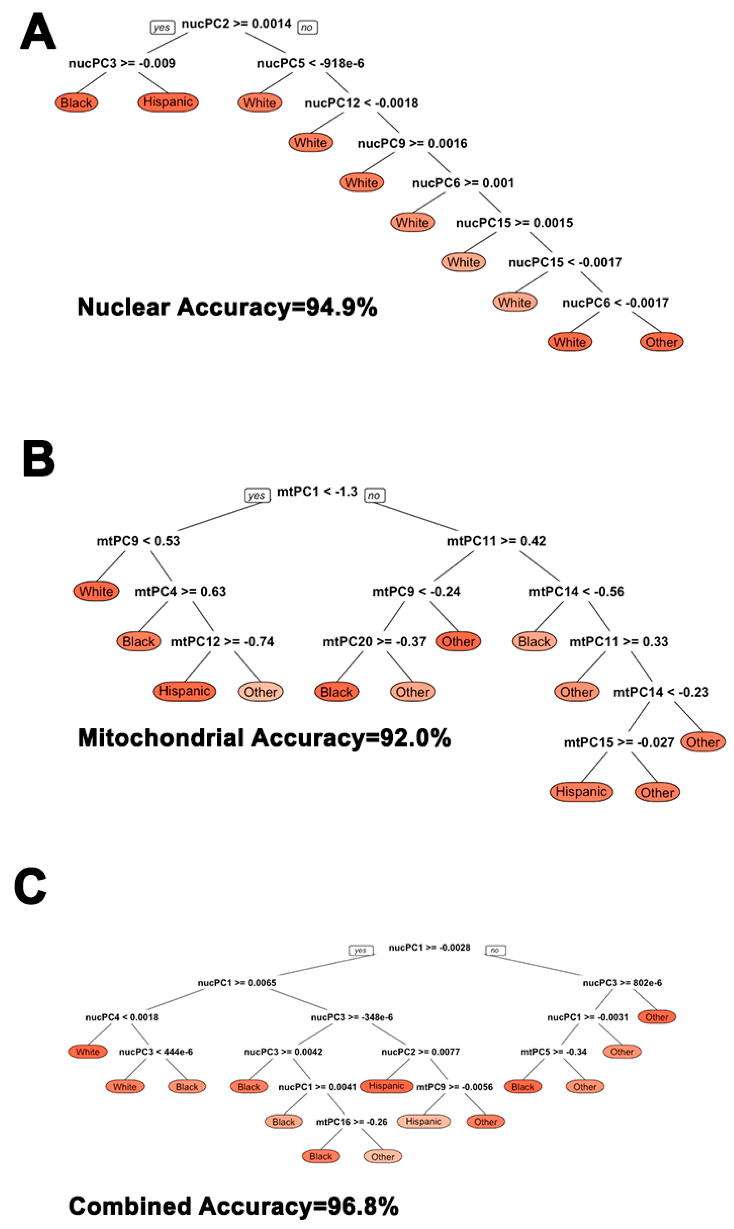 Cells 08 00306 g004 Cells 08 00306 g004