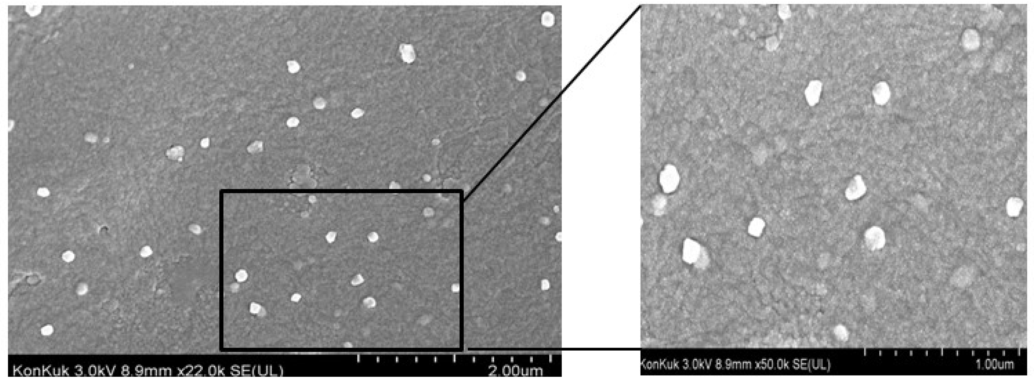 Cells 08 00307 g003 550
