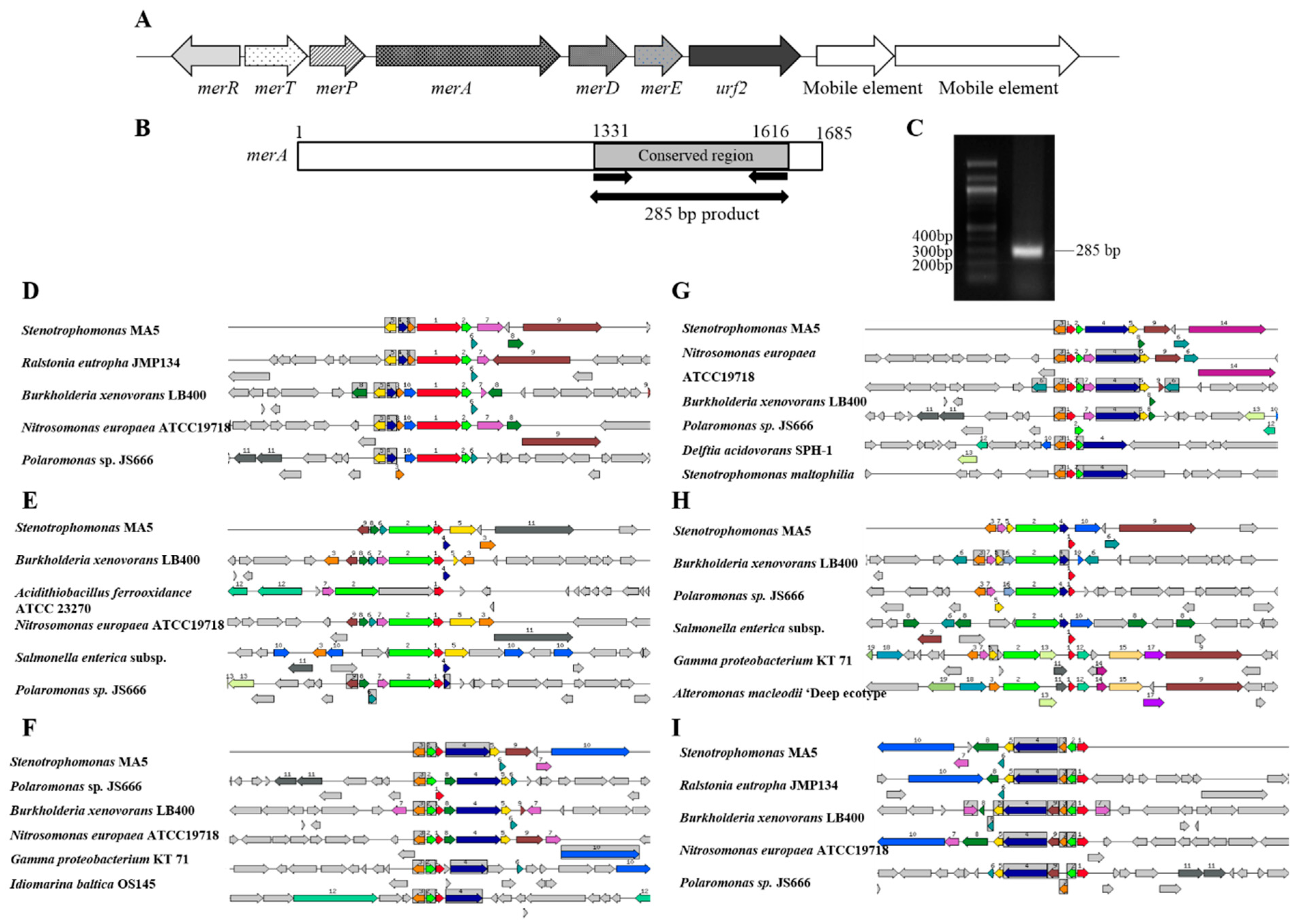 Cells 08 00309 g003 550