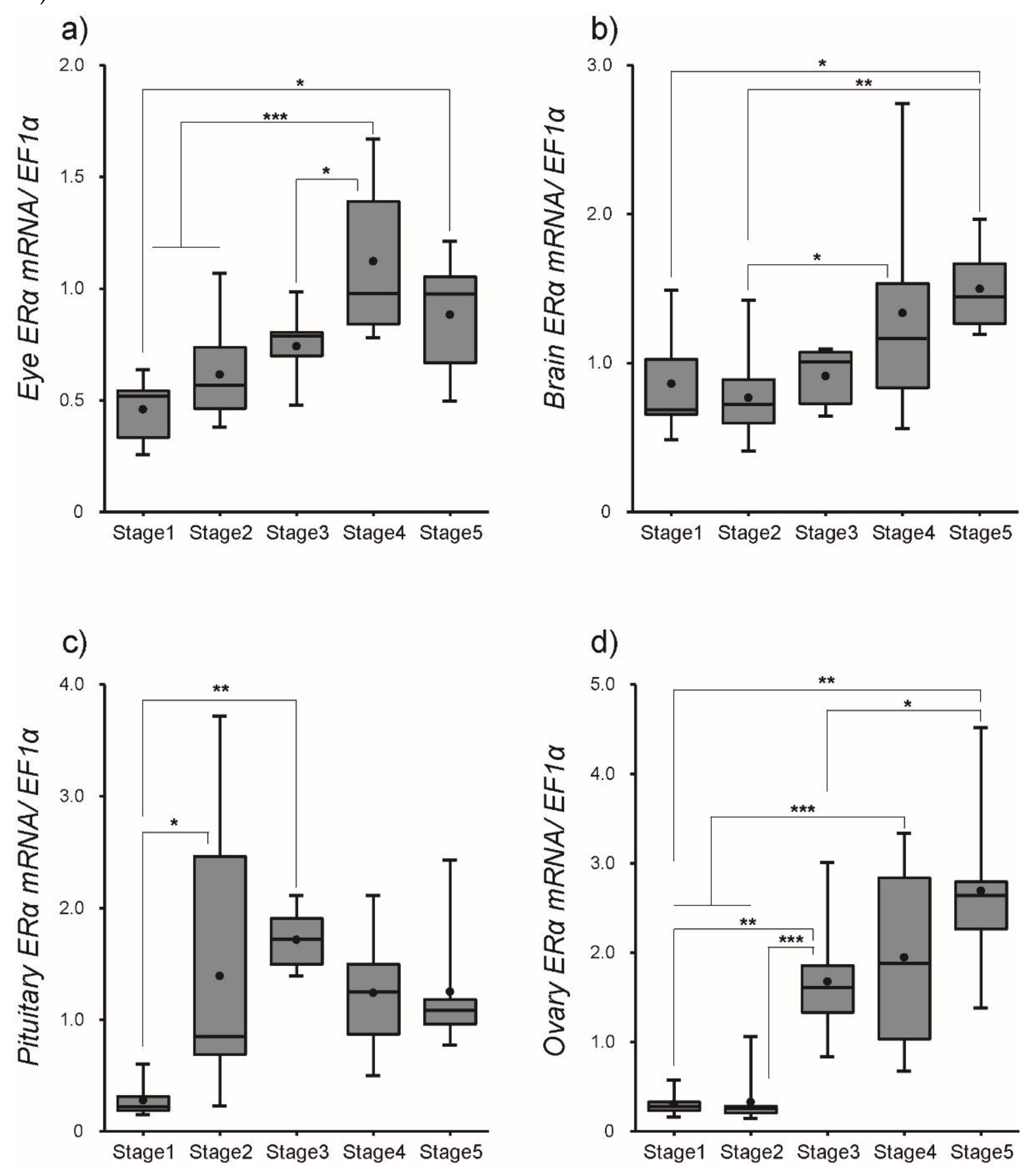 Cells 08 00310 g004 Cells 08 00310 g004