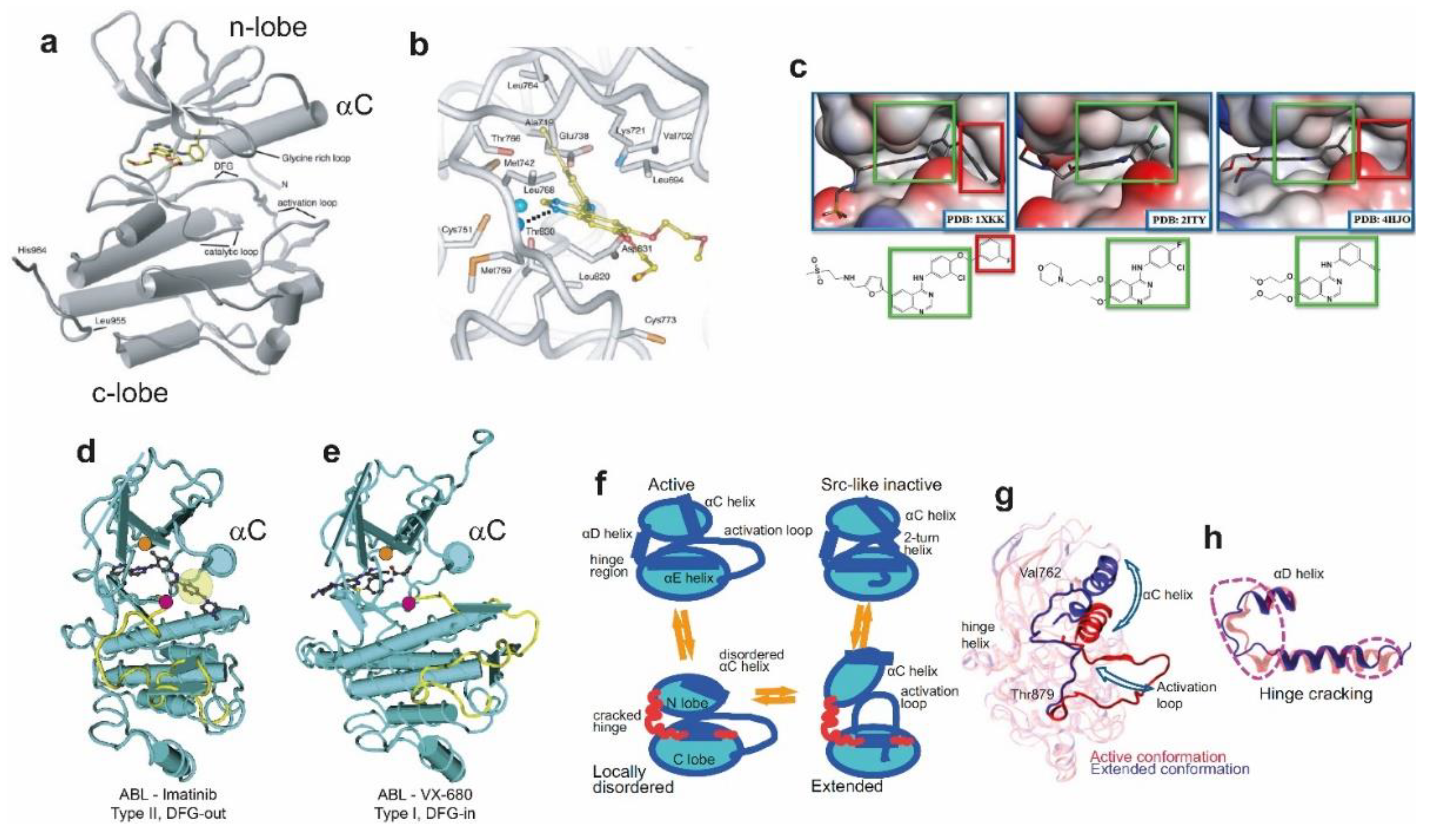 Cells 08 00316 g002 550