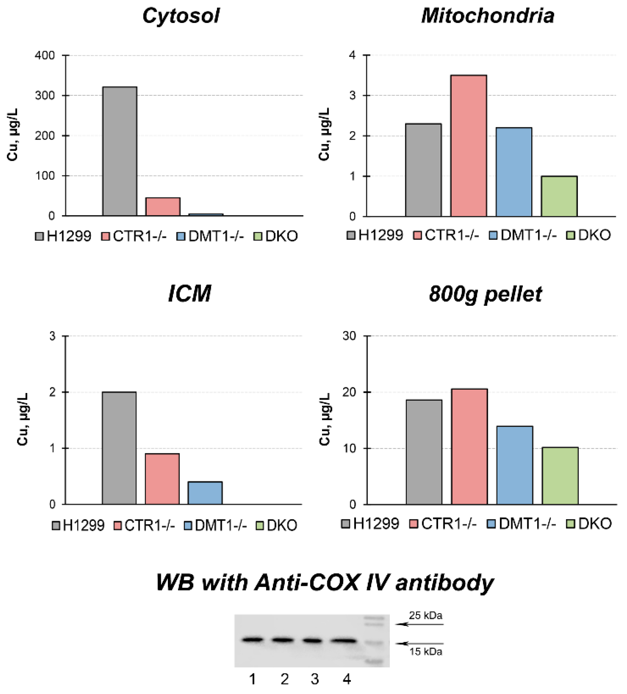 Cells 08 00322 g002 Cells 08 00322 g002
