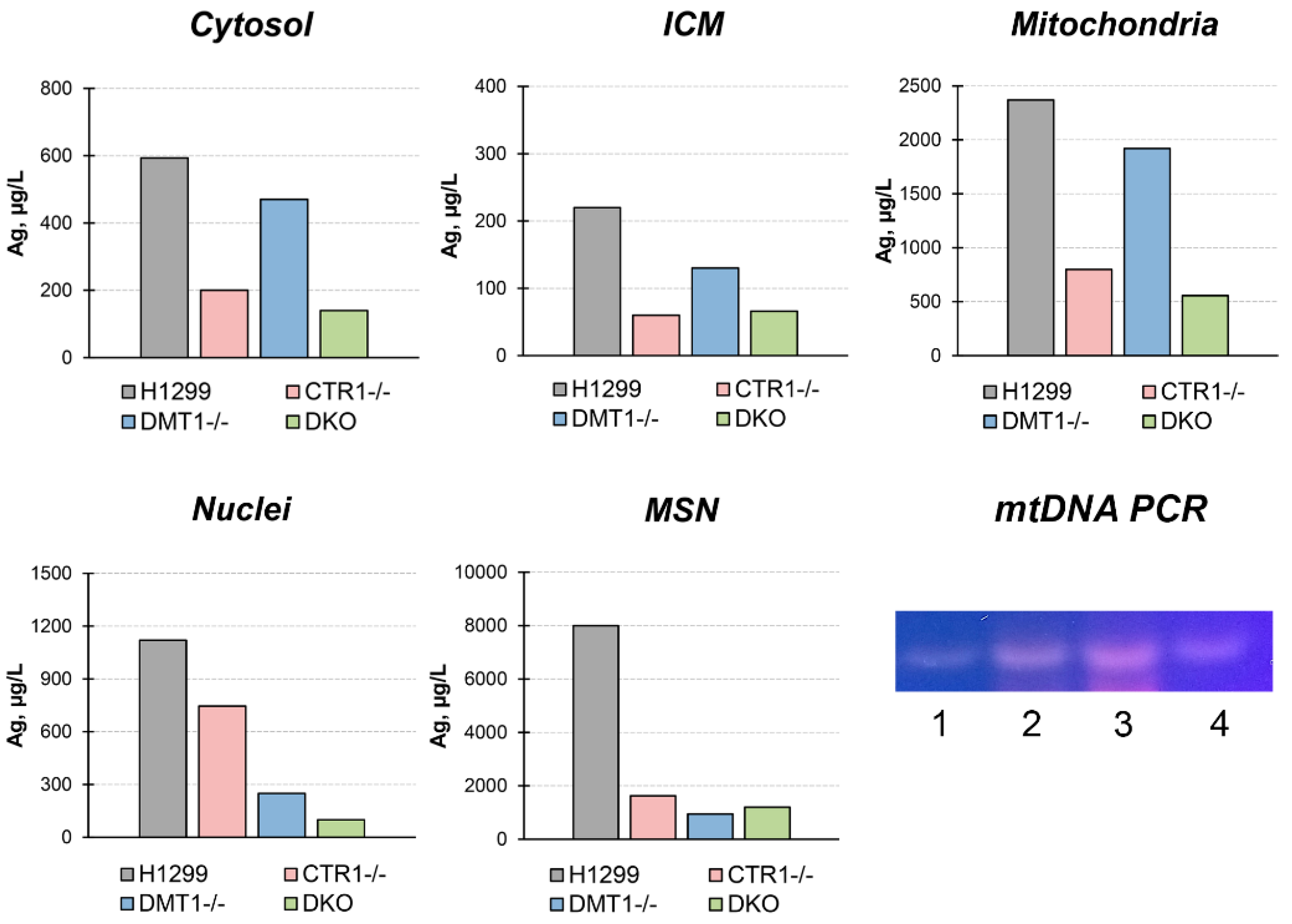 Cells 08 00322 g004 Cells 08 00322 g004