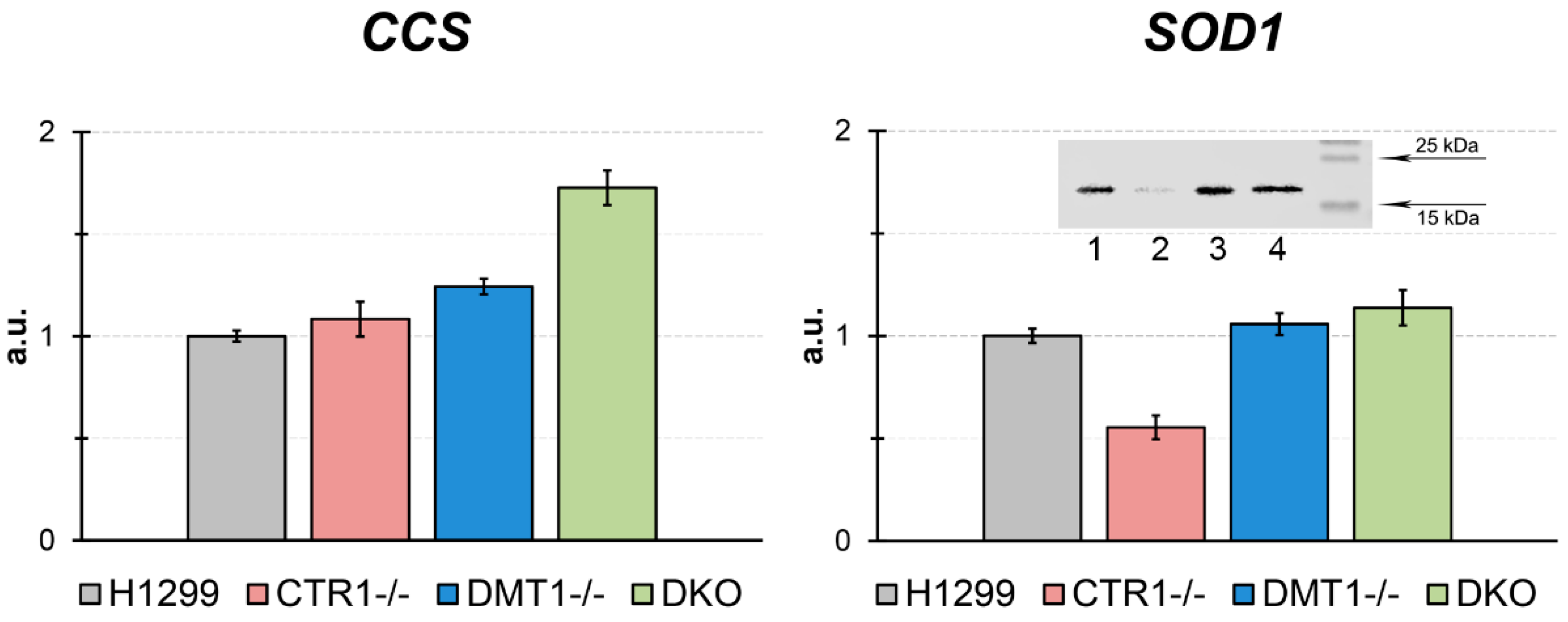 Cells 08 00322 g005 Cells 08 00322 g005