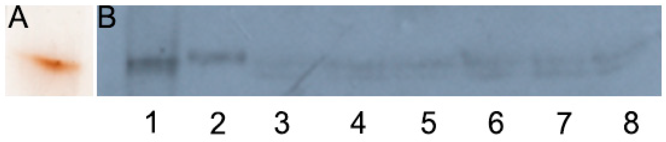 Cells 08 00322 g006 Cells 08 00322 g006