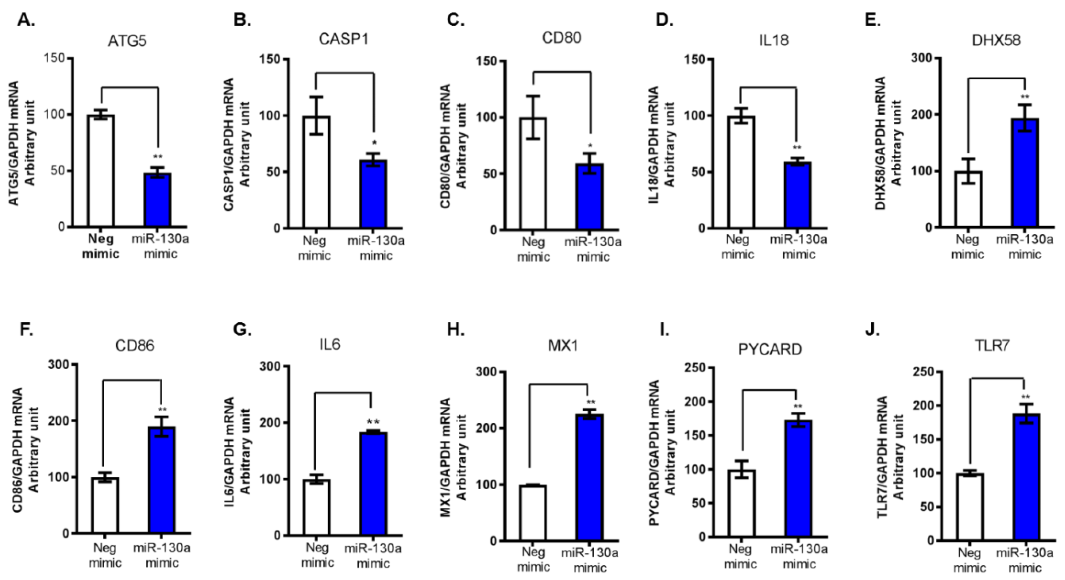 Cells 08 00338 g001 Cells 08 00338 g001