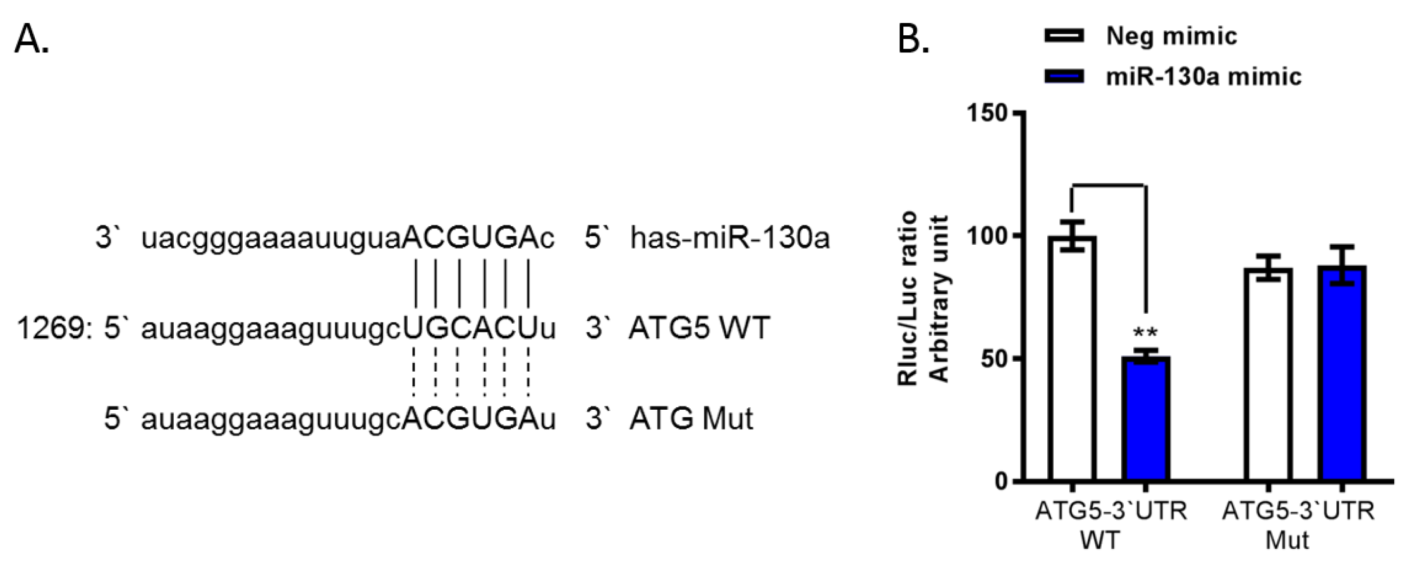 Cells 08 00338 g002 Cells 08 00338 g002