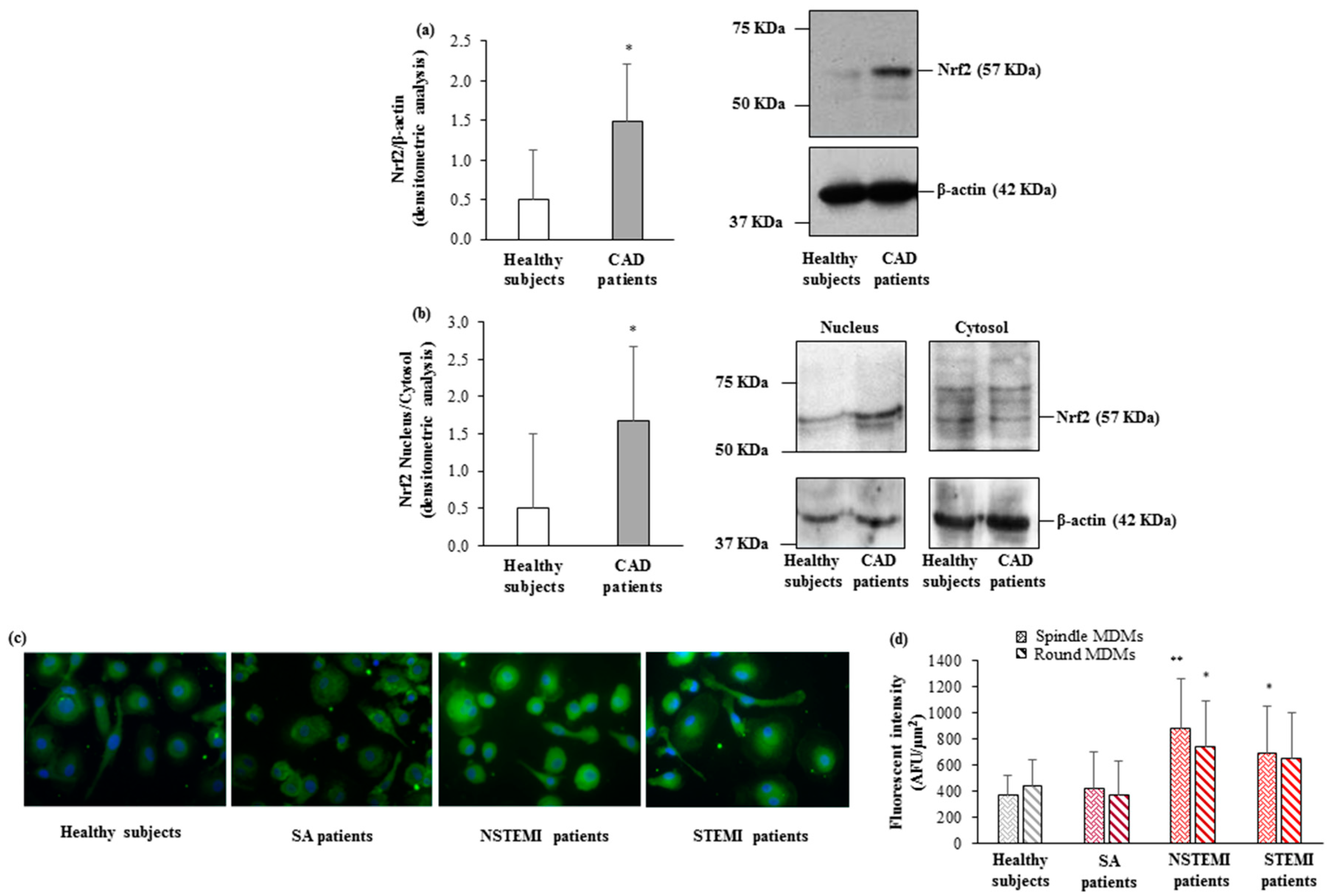 Cells 08 00356 g003