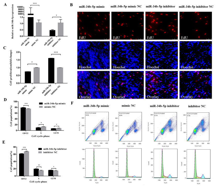 Cells 08 00360 g001