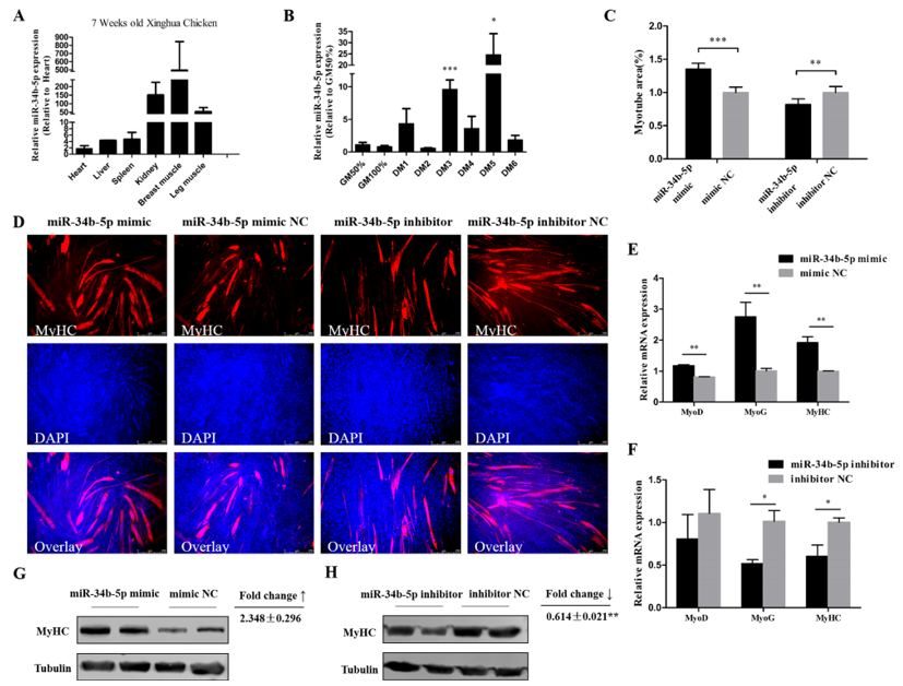 Cells 08 00360 g002