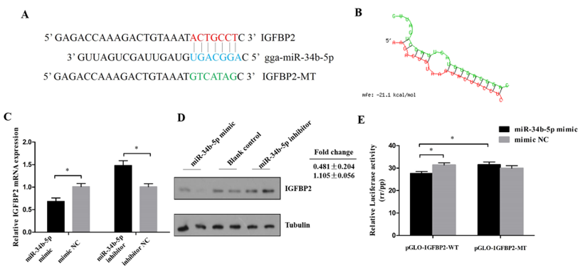 Cells 08 00360 g003