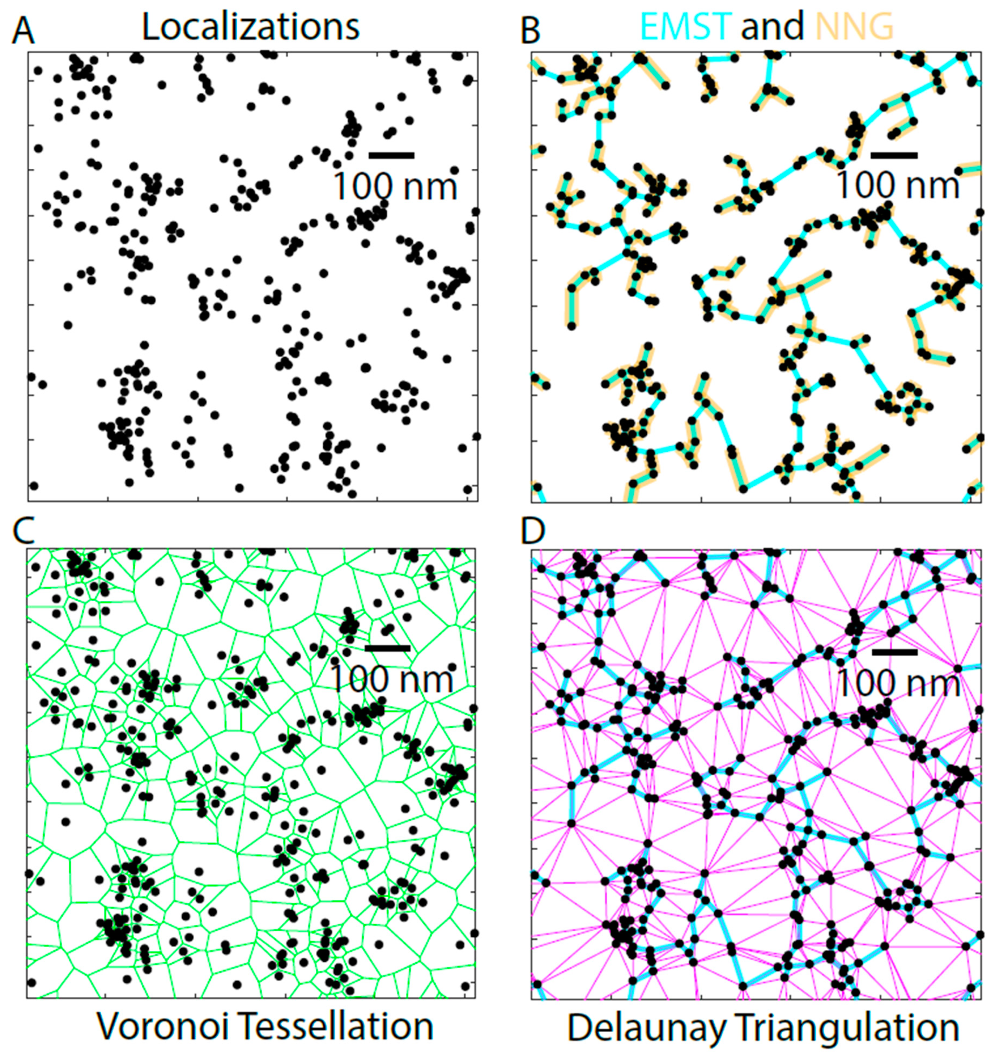 Cells 08 00361 g007