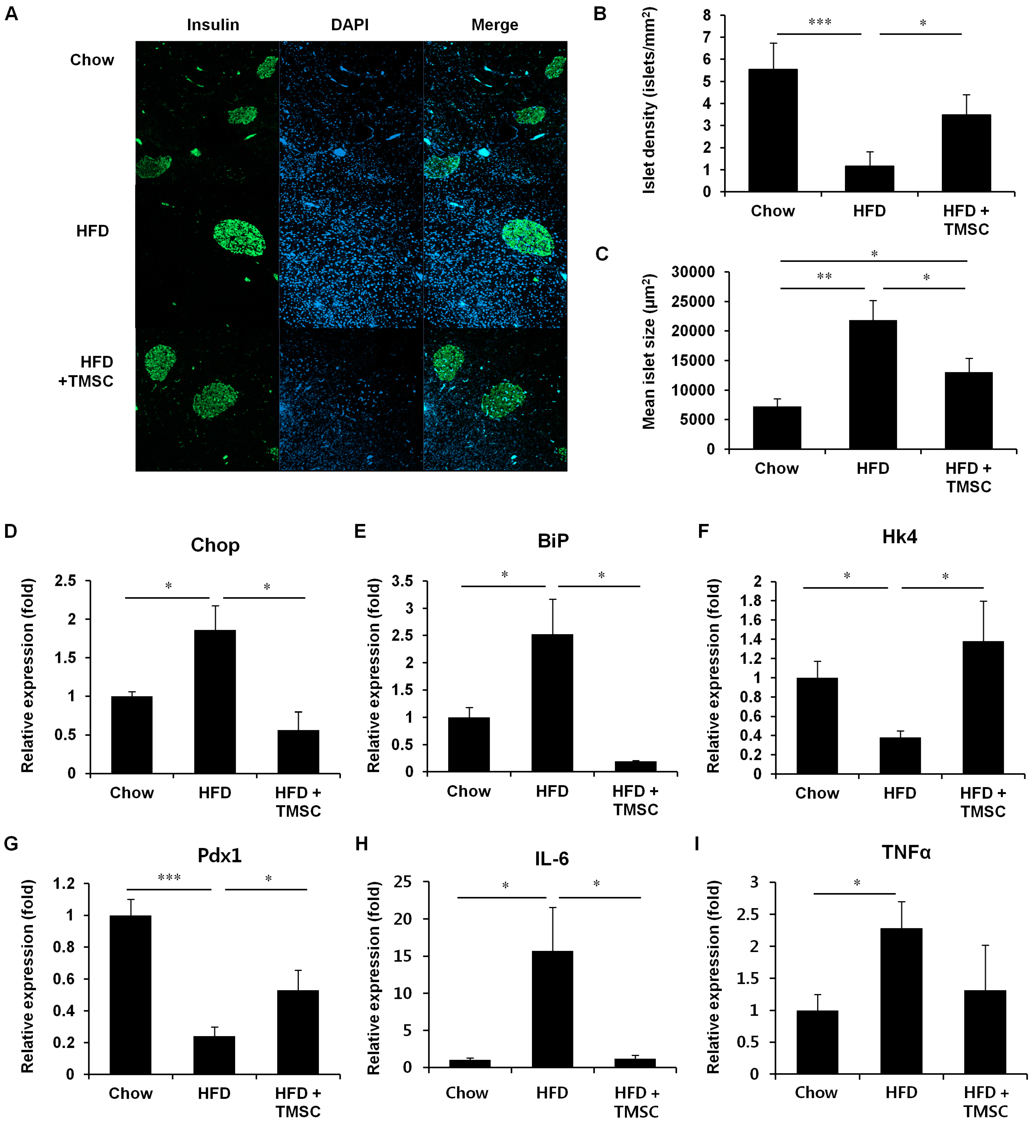 Cells 08 00368 g002