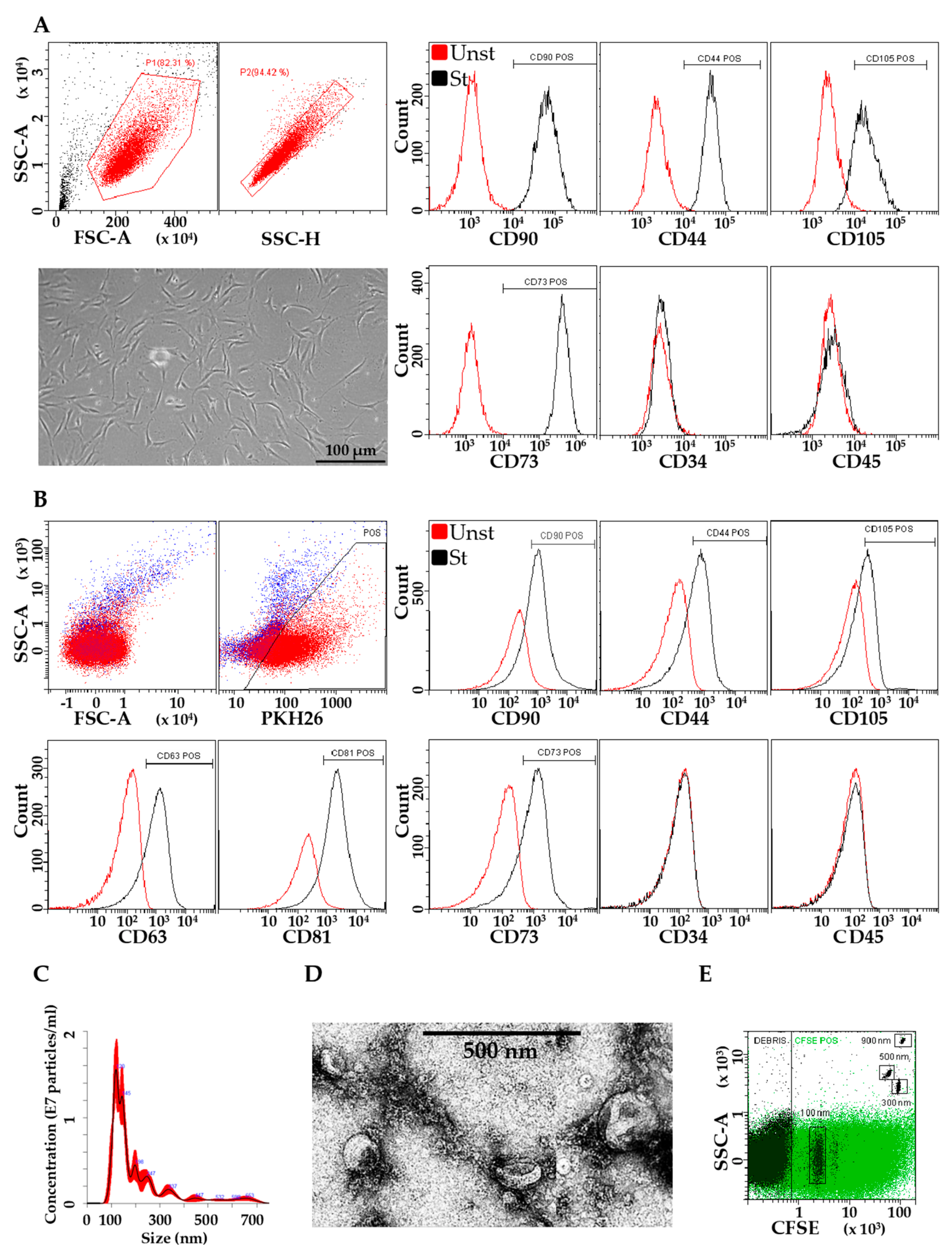 Cells 08 00369 g001