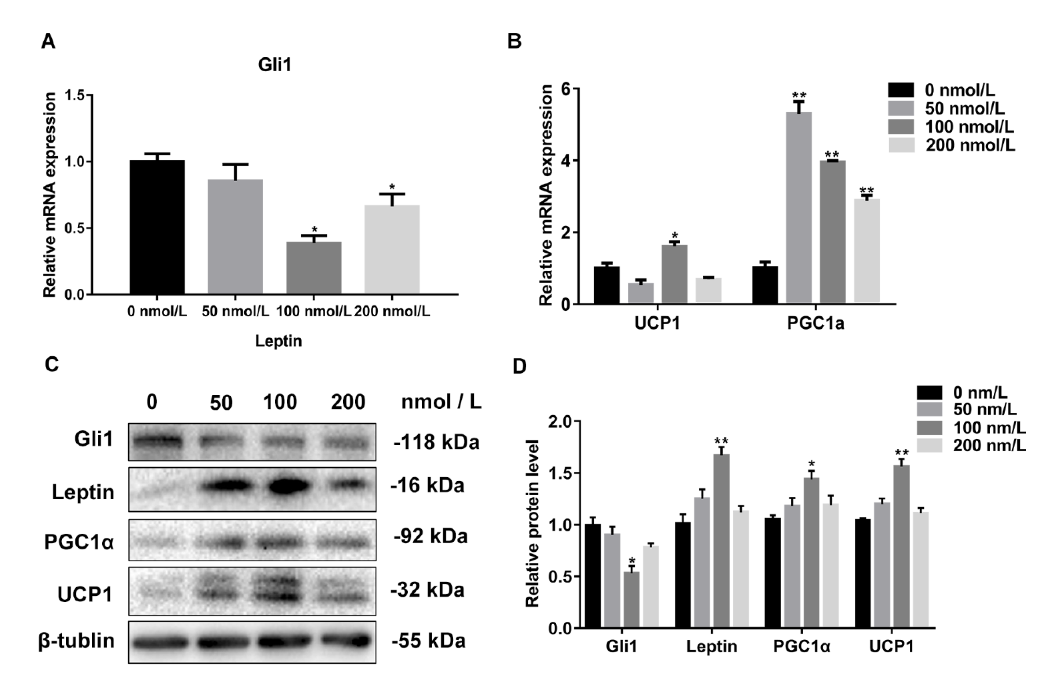 Cells 08 00372 g005