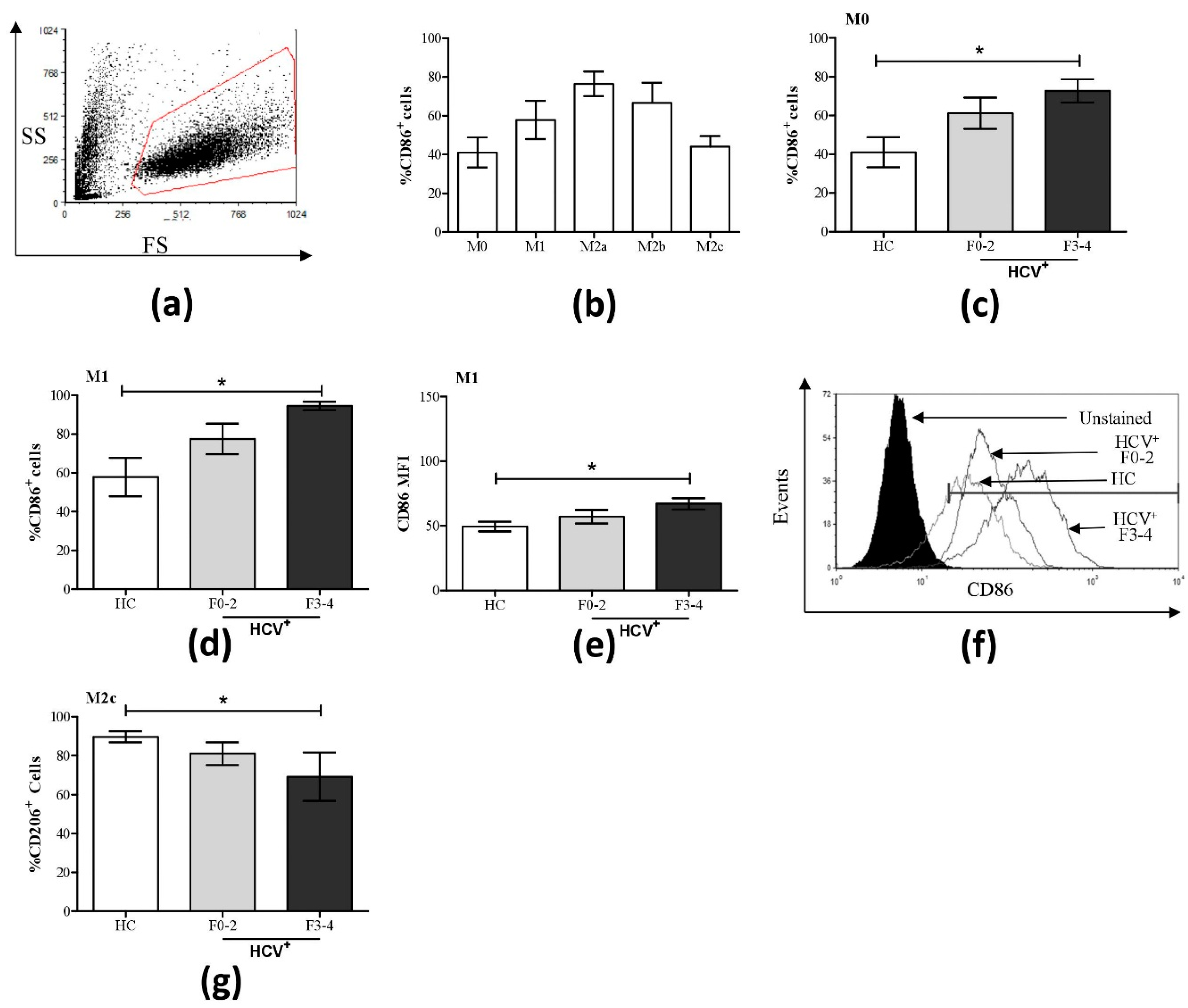 Cells 08 00374 g001