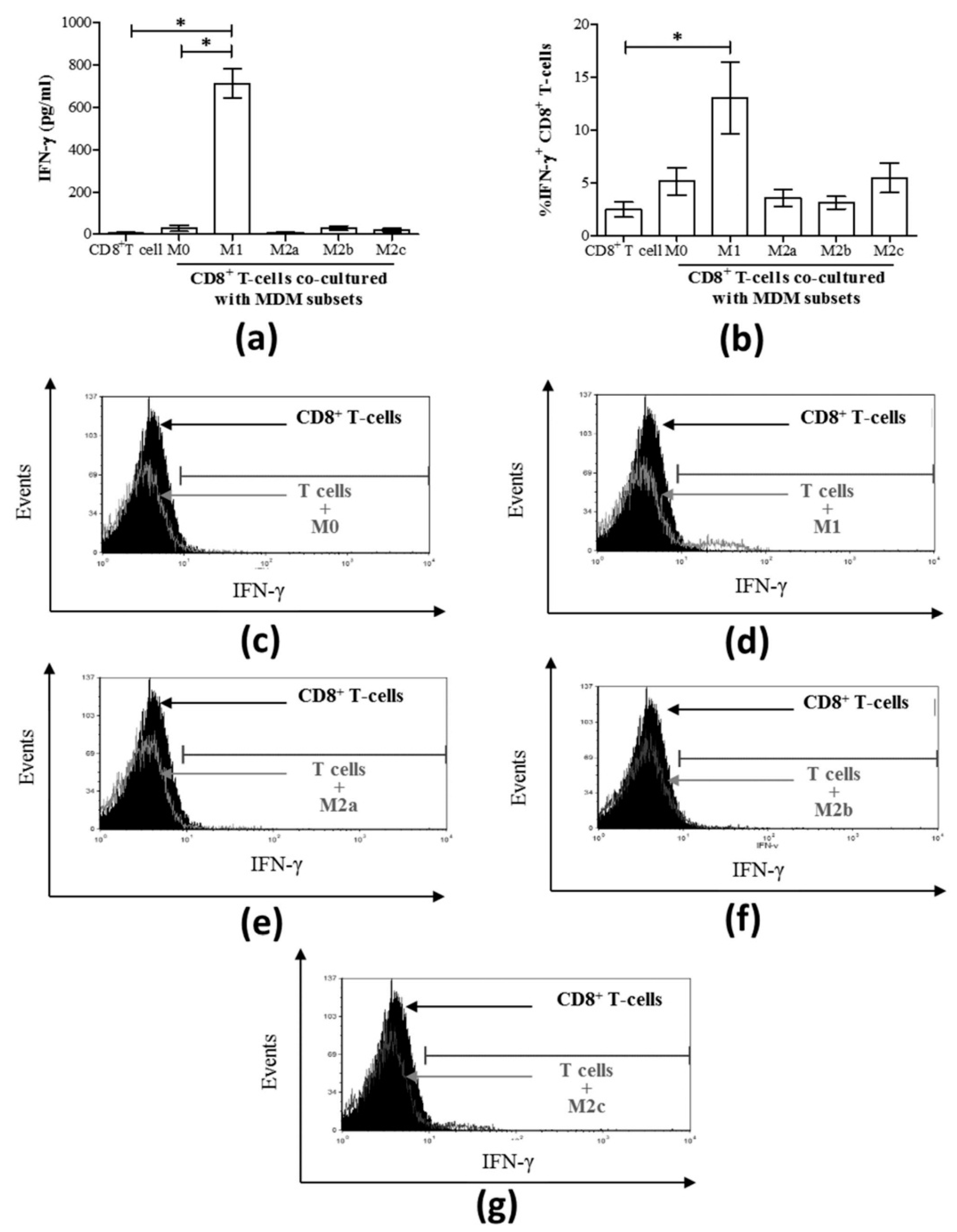 Cells 08 00374 g003