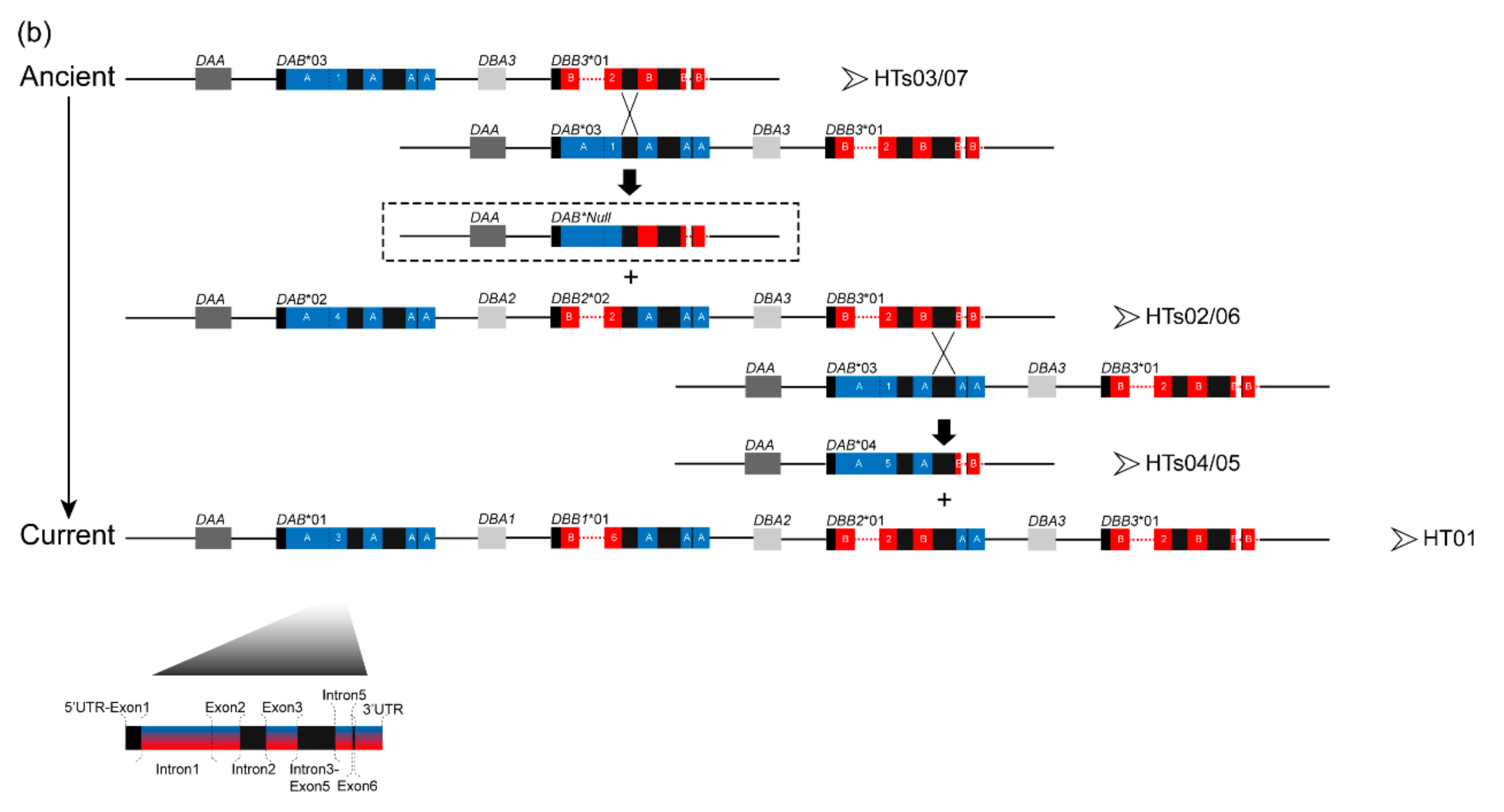 Cells 08 00377 g004b