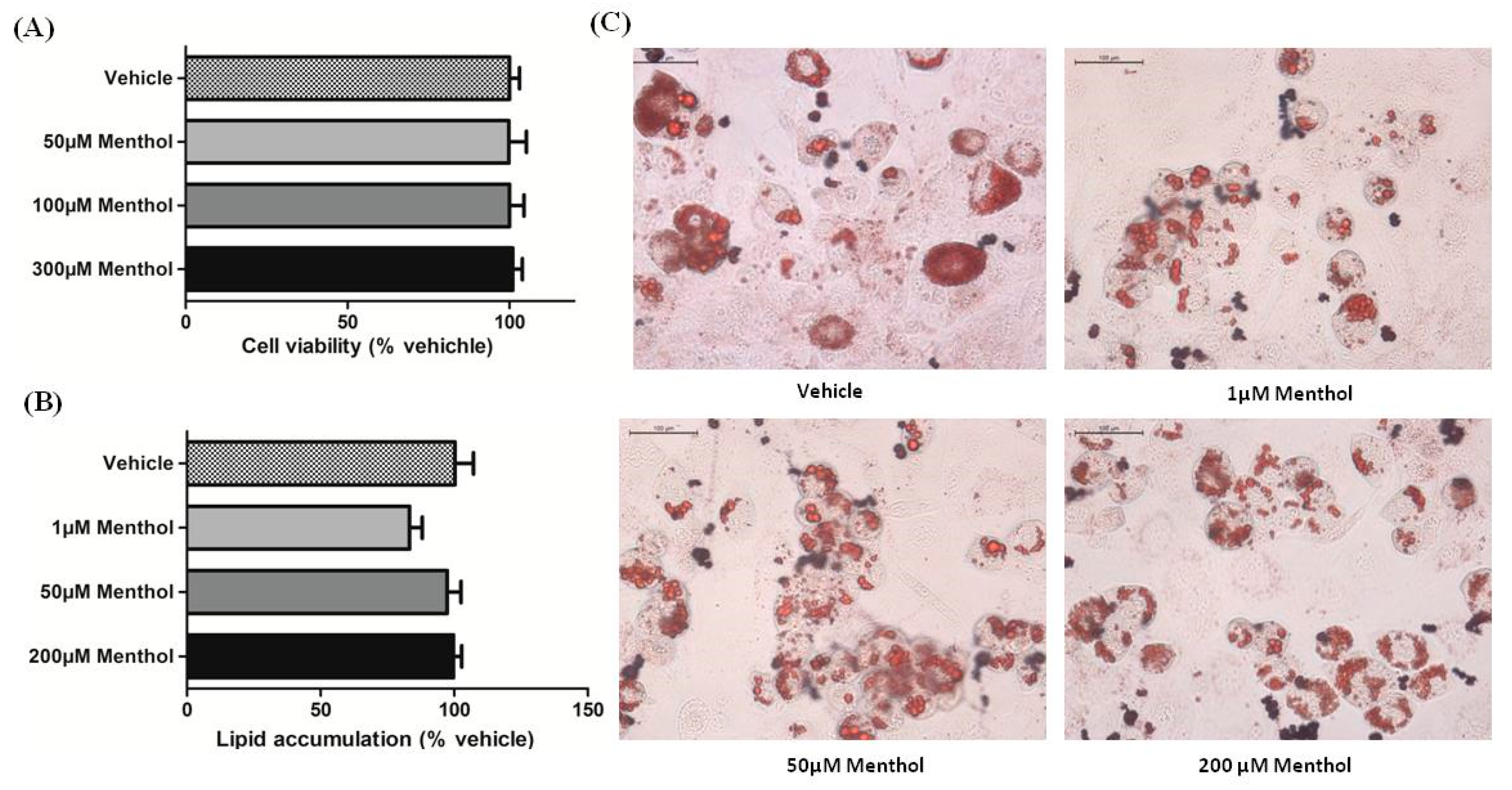 Cells 08 00383 g002