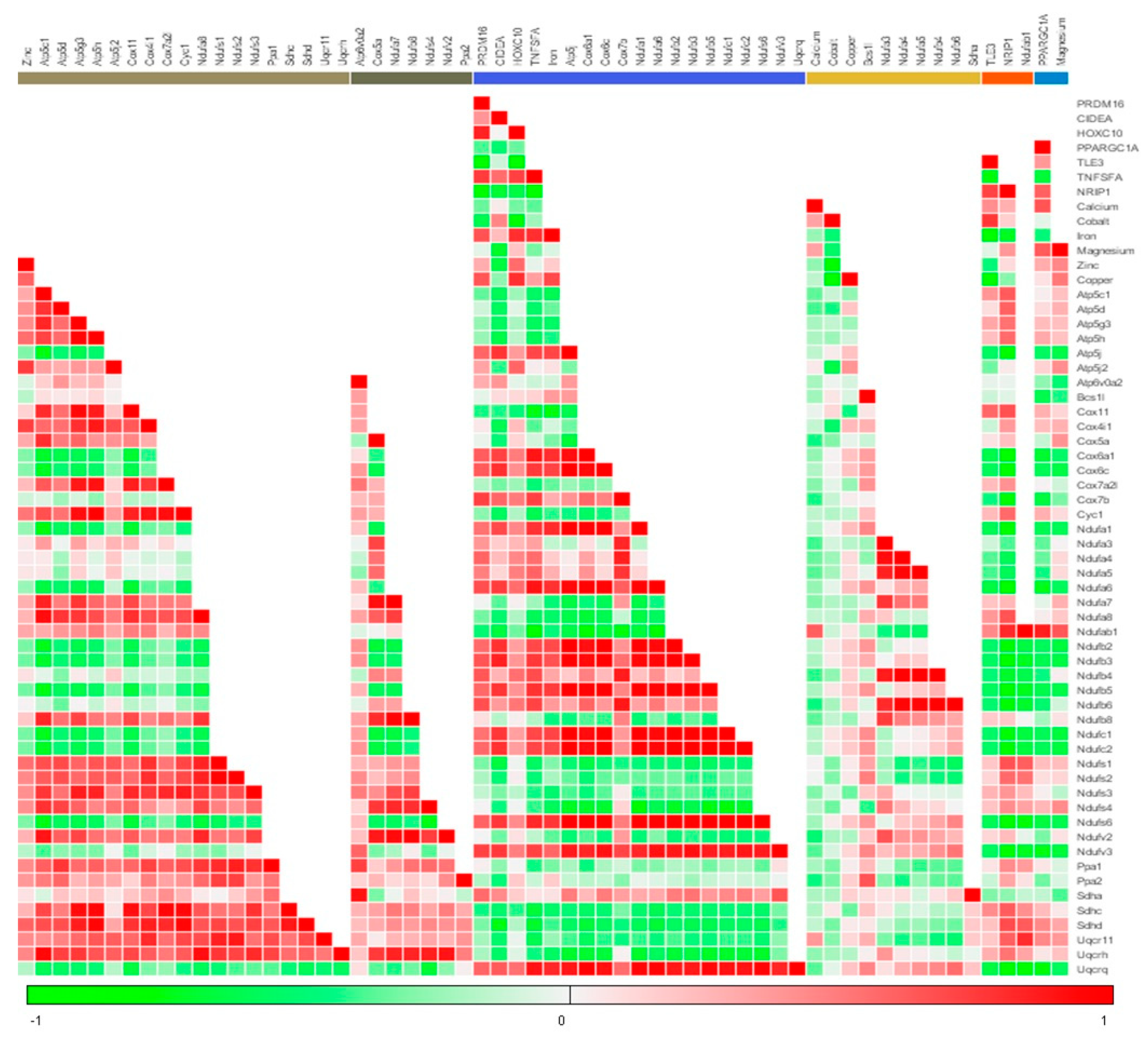 Cells 08 00383 g006