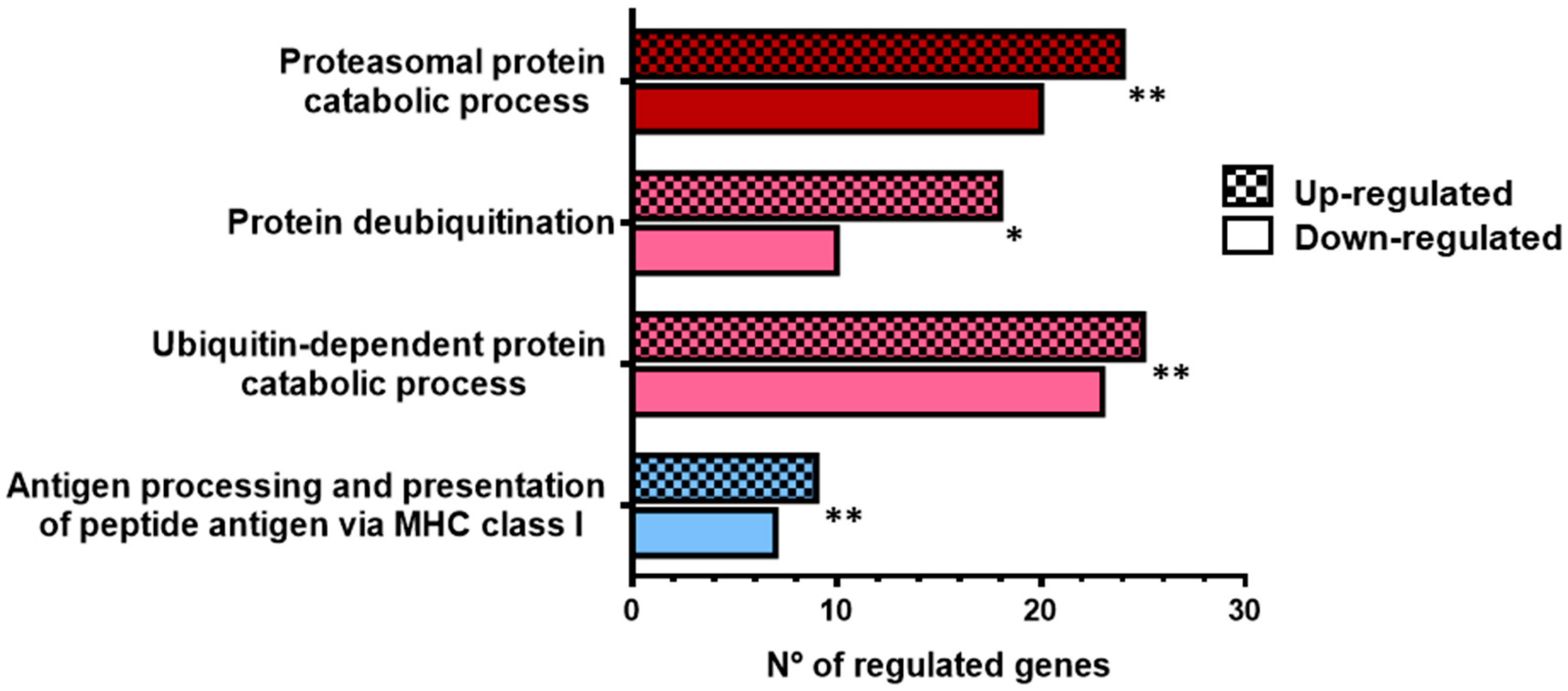 Cells 08 00386 g001 Cells 08 00386 g001