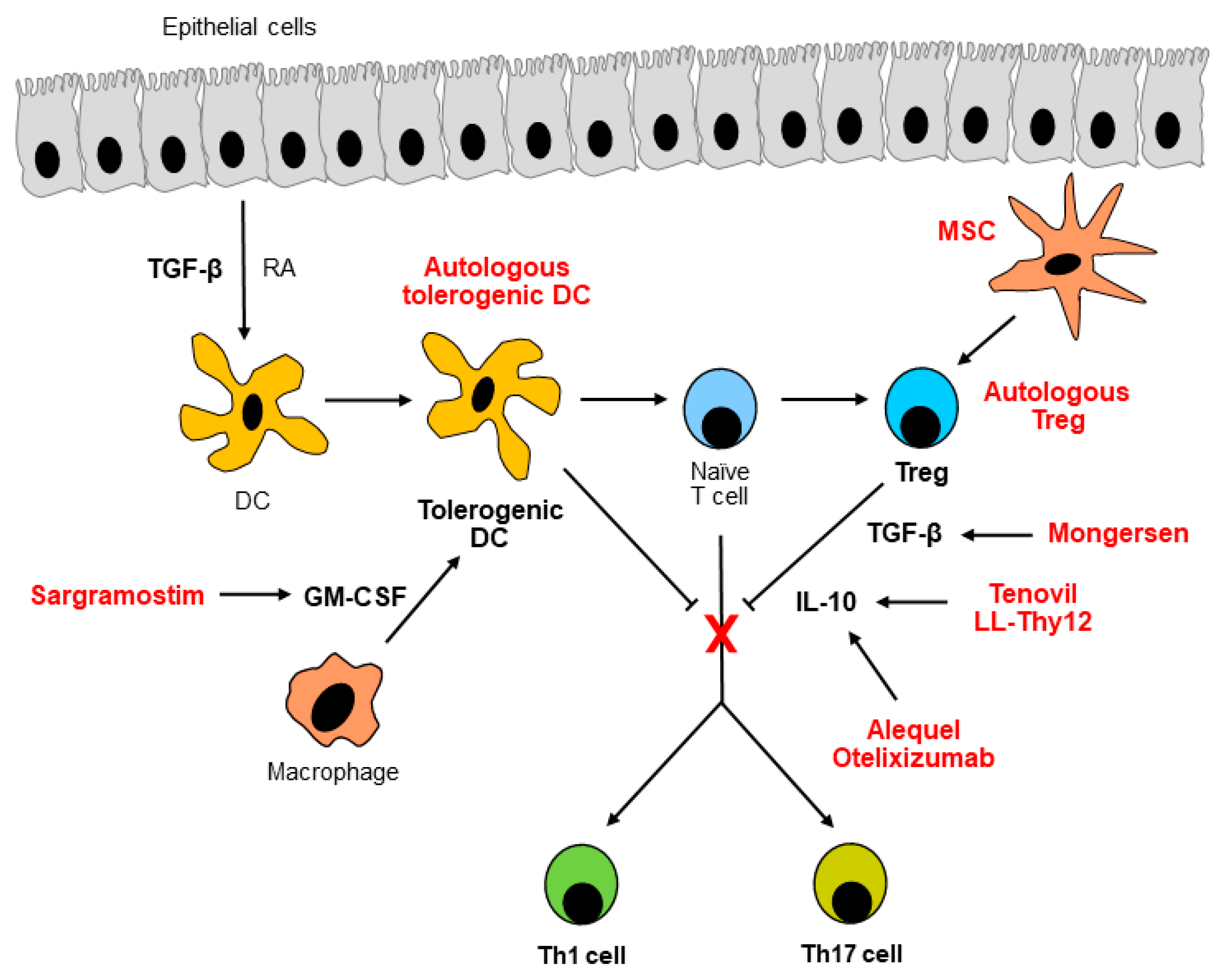 Cells 08 00397 g001