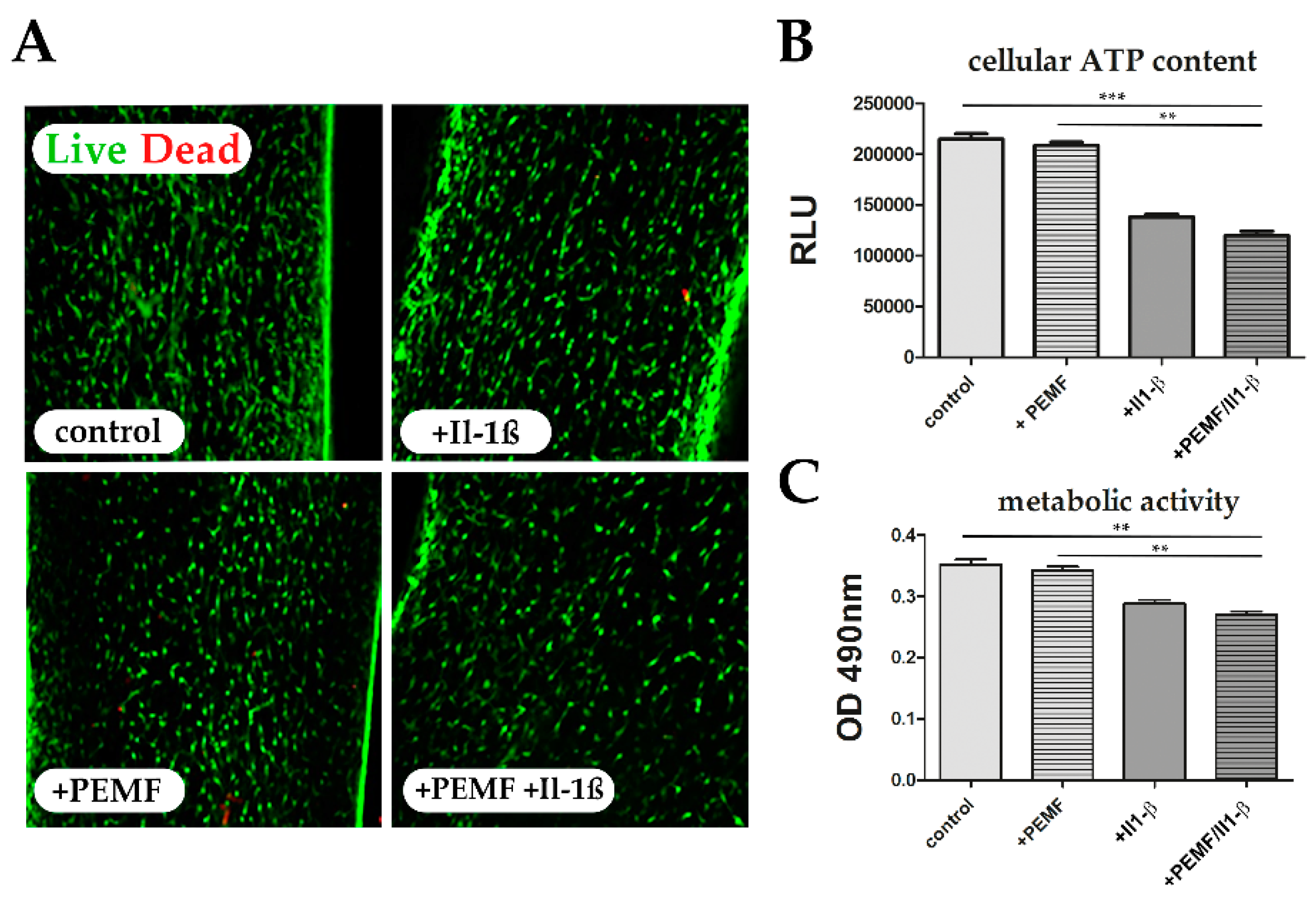 Cells 08 00399 g002