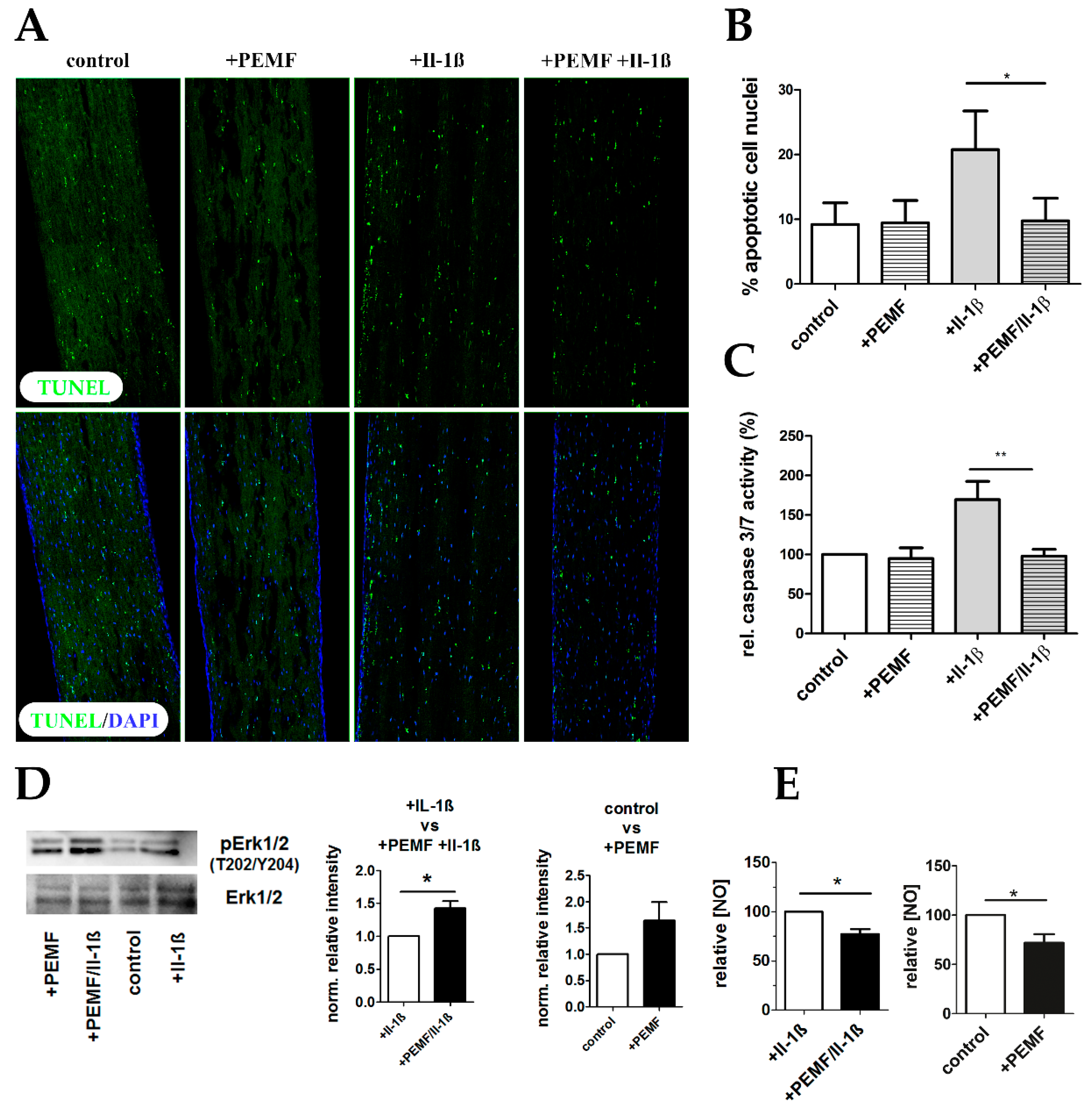 Cells 08 00399 g009