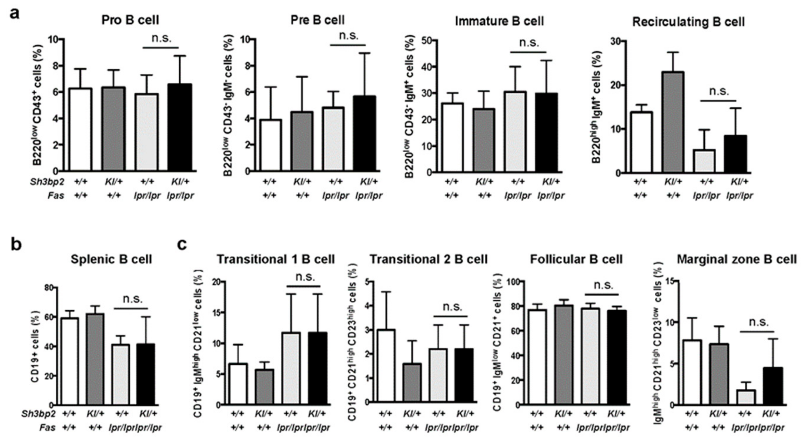 Cells 08 00402 g005 Cells 08 00402 g005