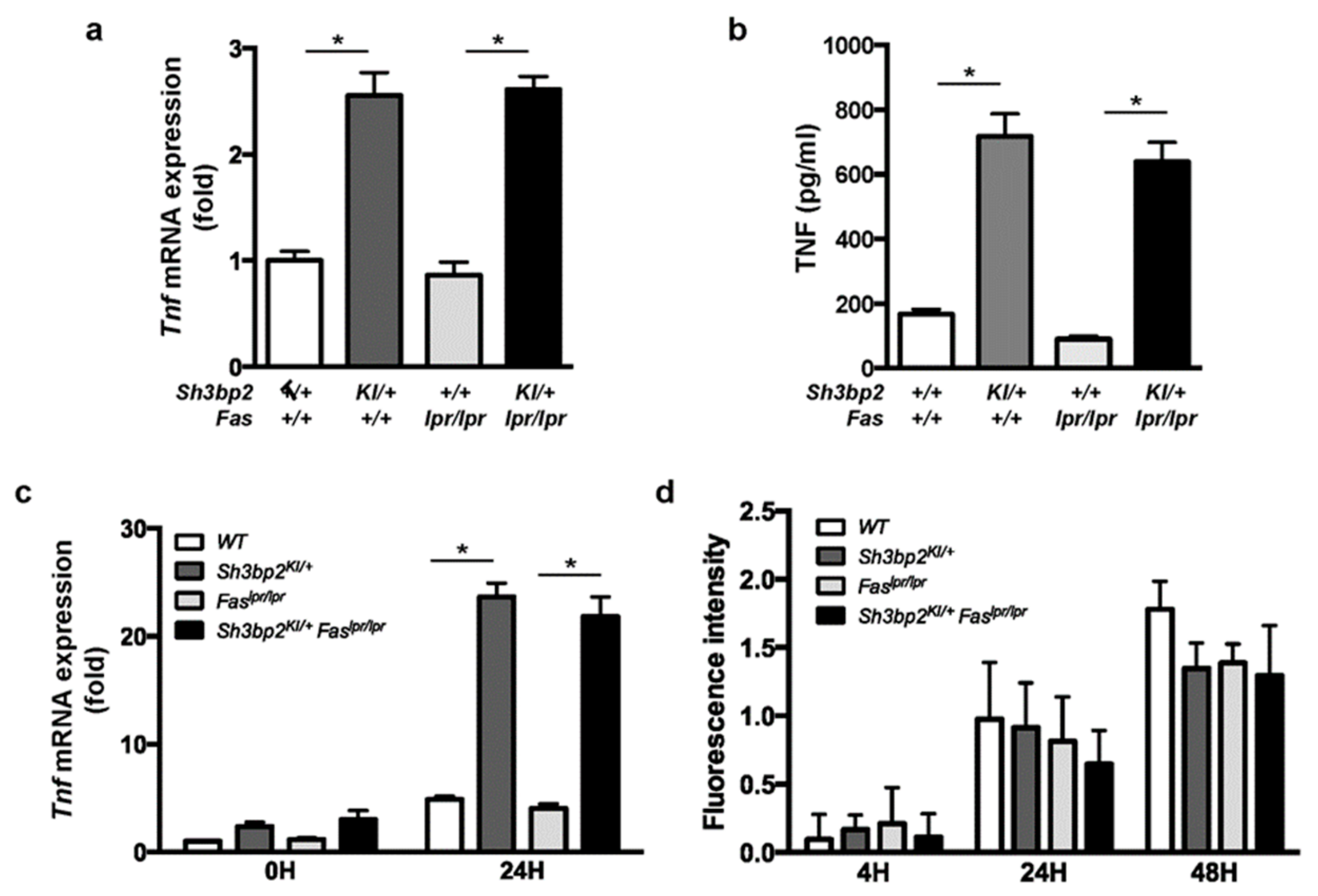 Cells 08 00402 g008 Cells 08 00402 g008