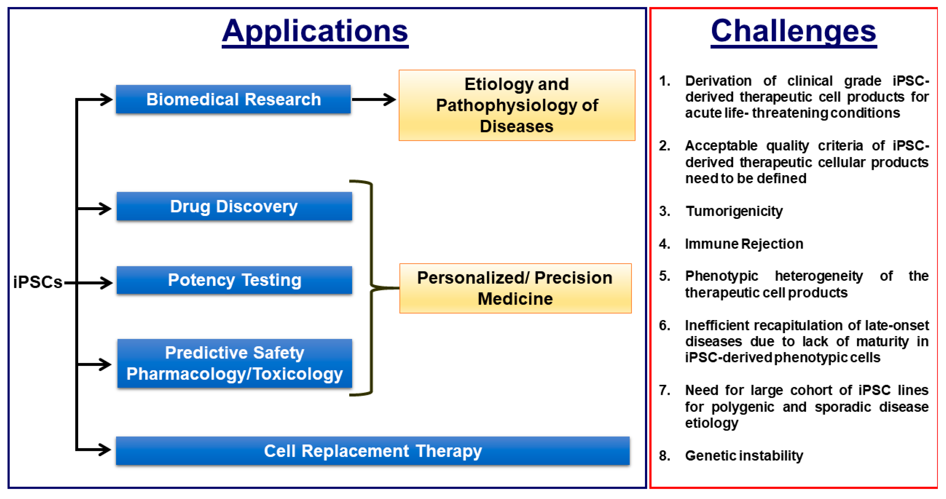 Cells 08 00403 g002 550