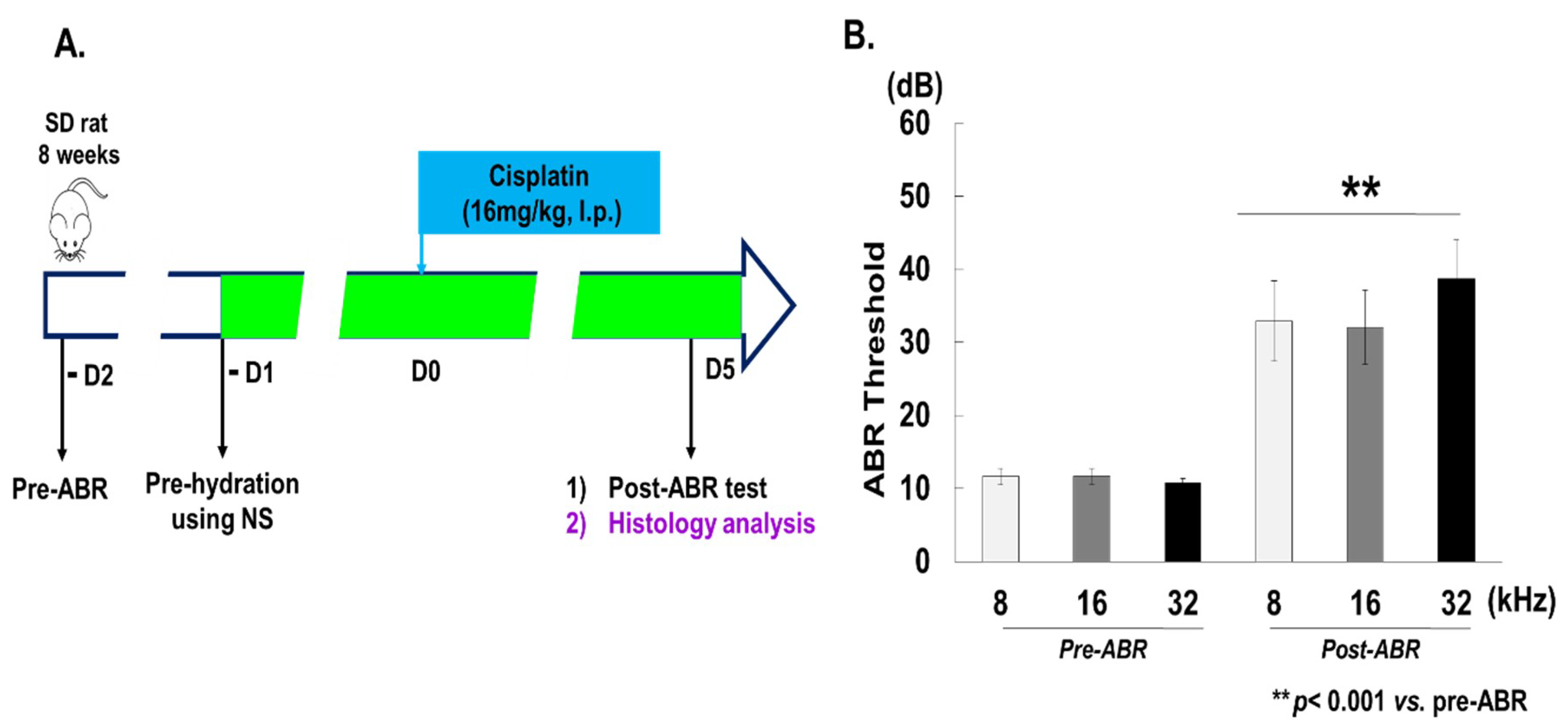 Cells 08 00409 g001 550