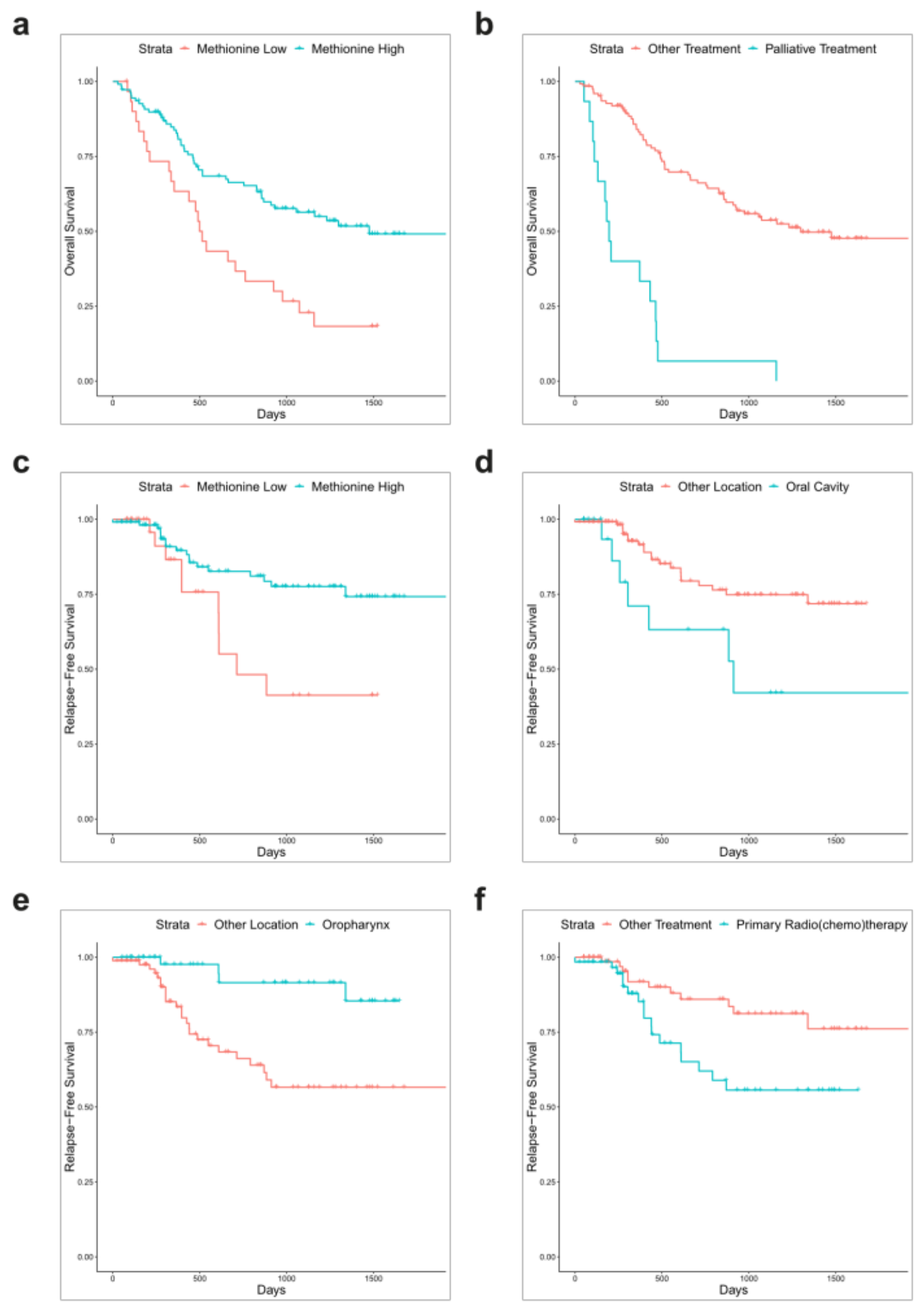 Cells 08 00428 g001 Cells 08 00428 g001
