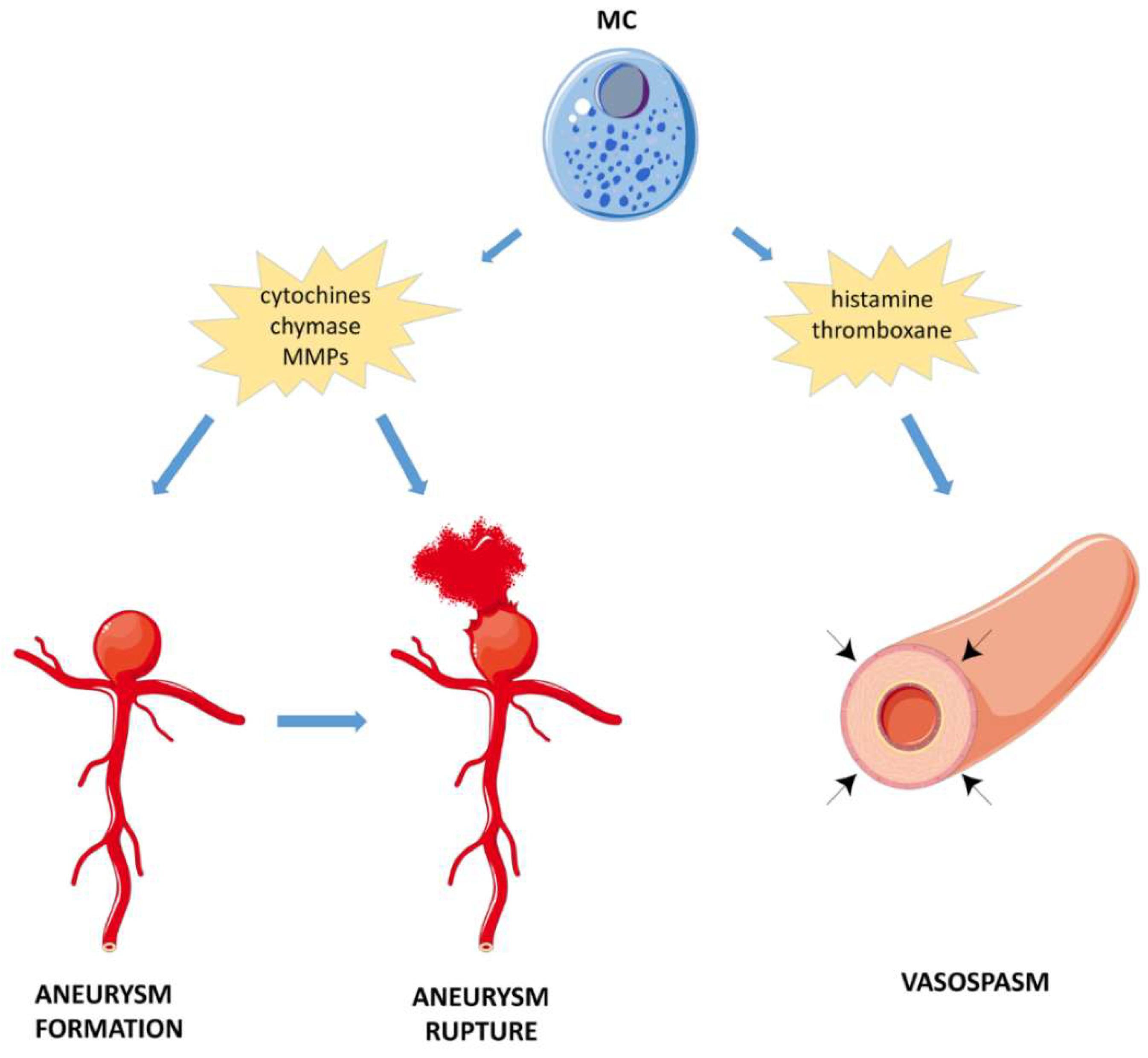 Cells 08 00437 g002 Cells 08 00437 g002
