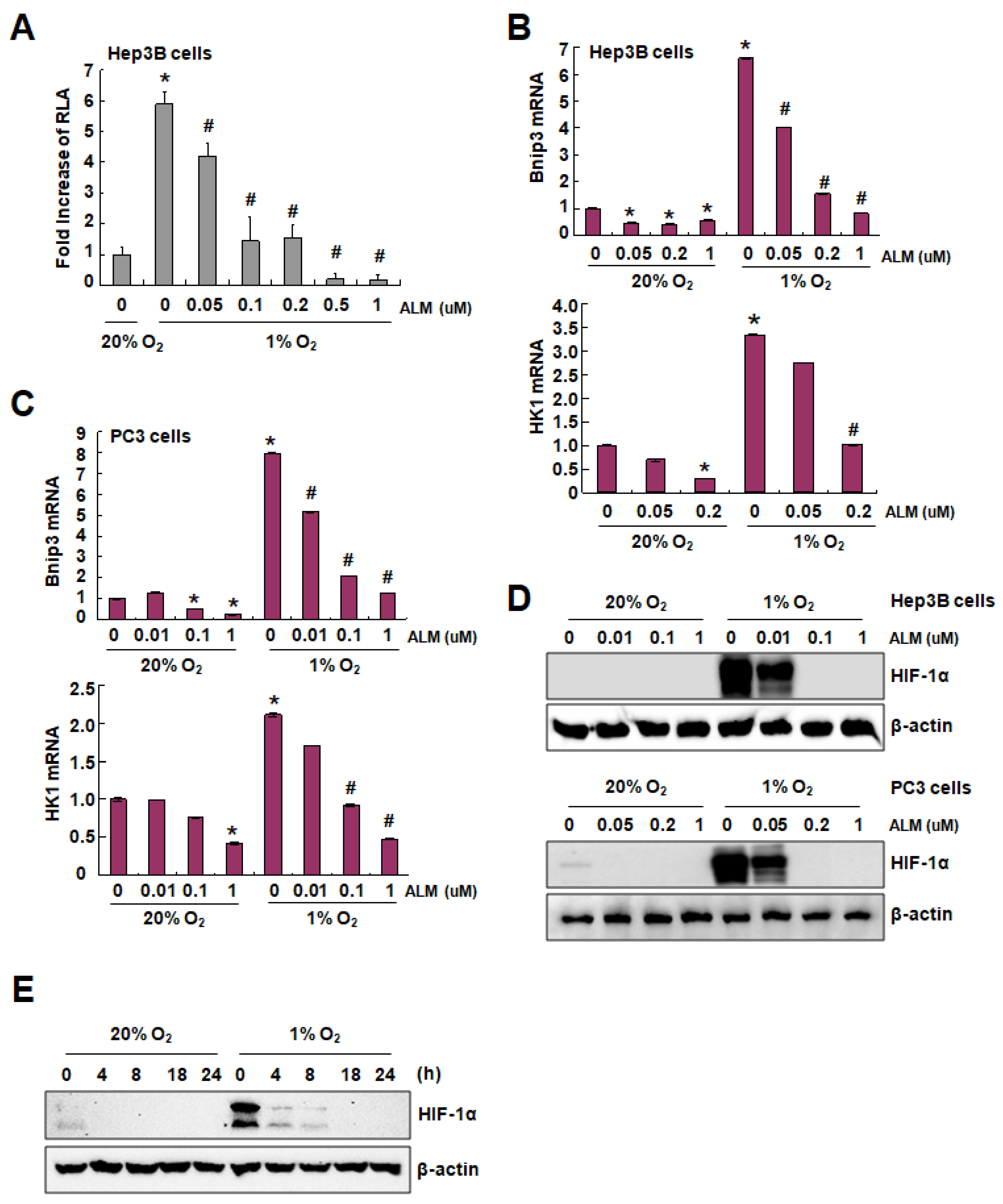 Cells 08 00439 g001 Cells 08 00439 g001