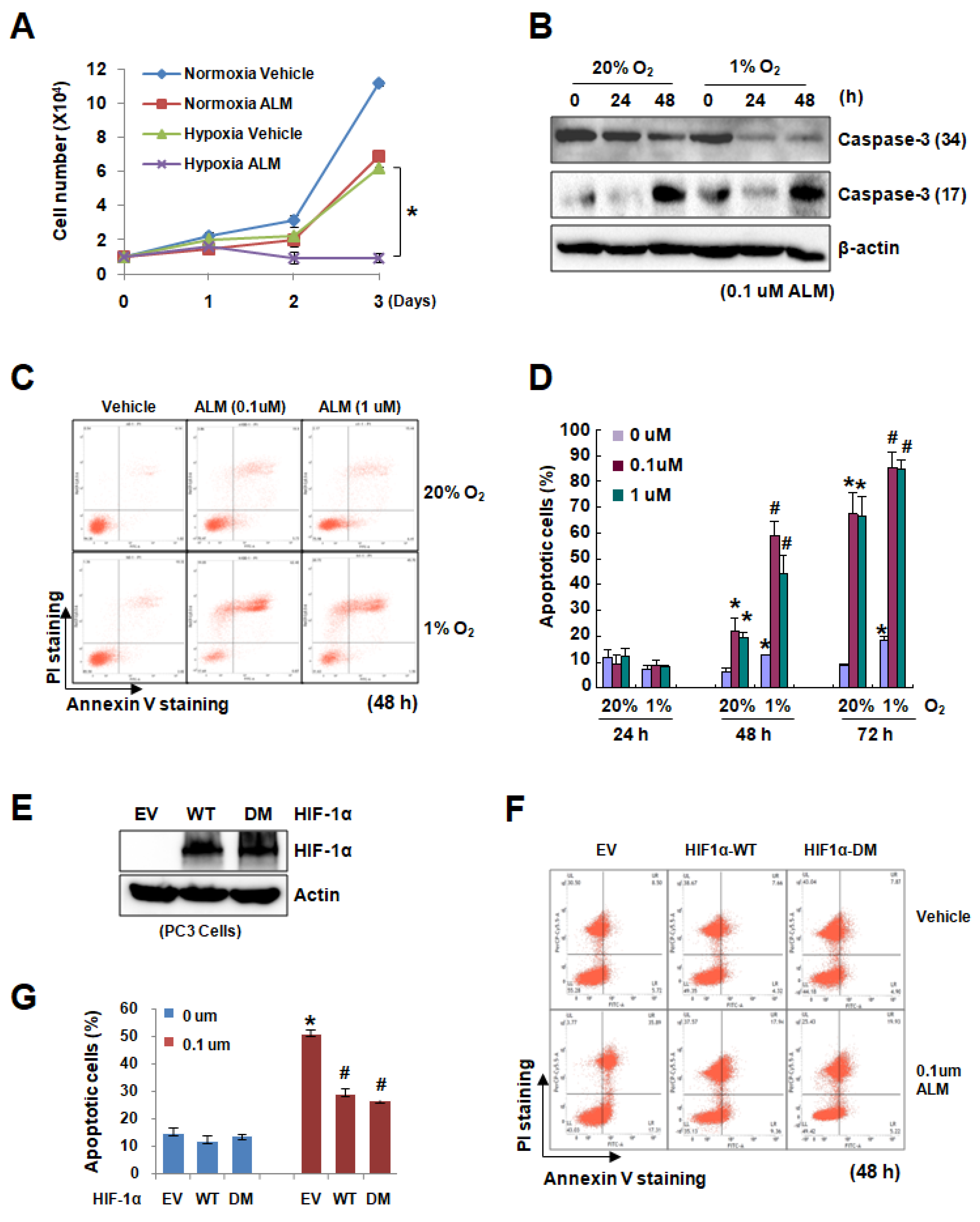 Cells 08 00439 g003 Cells 08 00439 g003