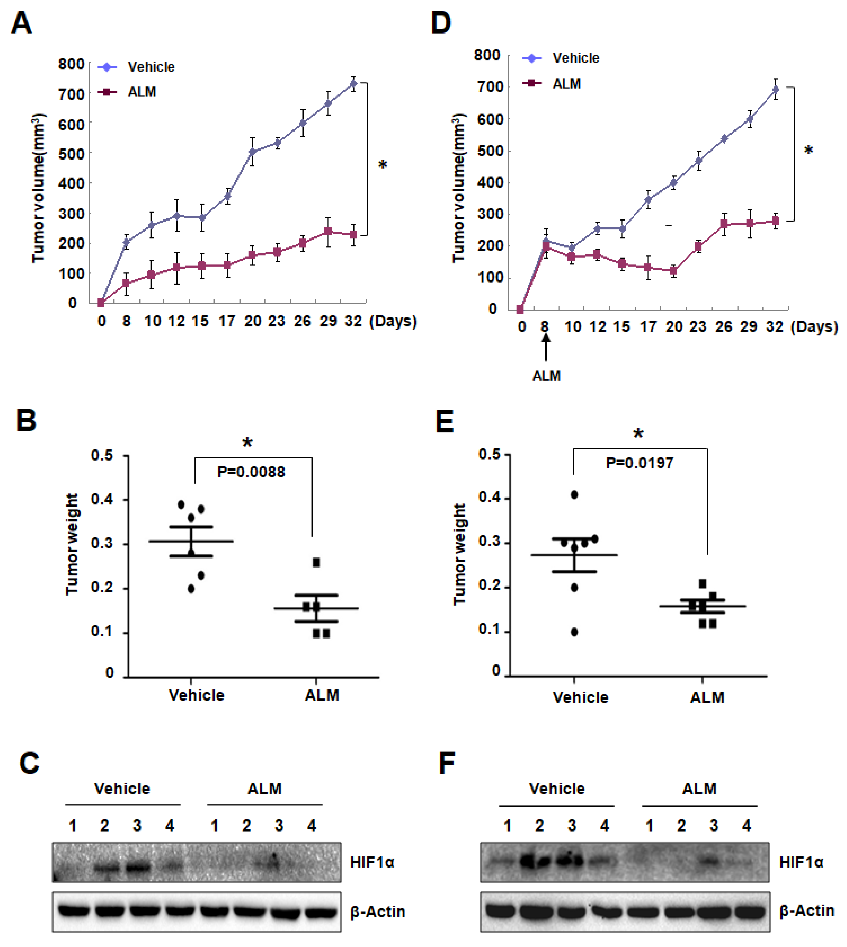 Cells 08 00439 g004 Cells 08 00439 g004