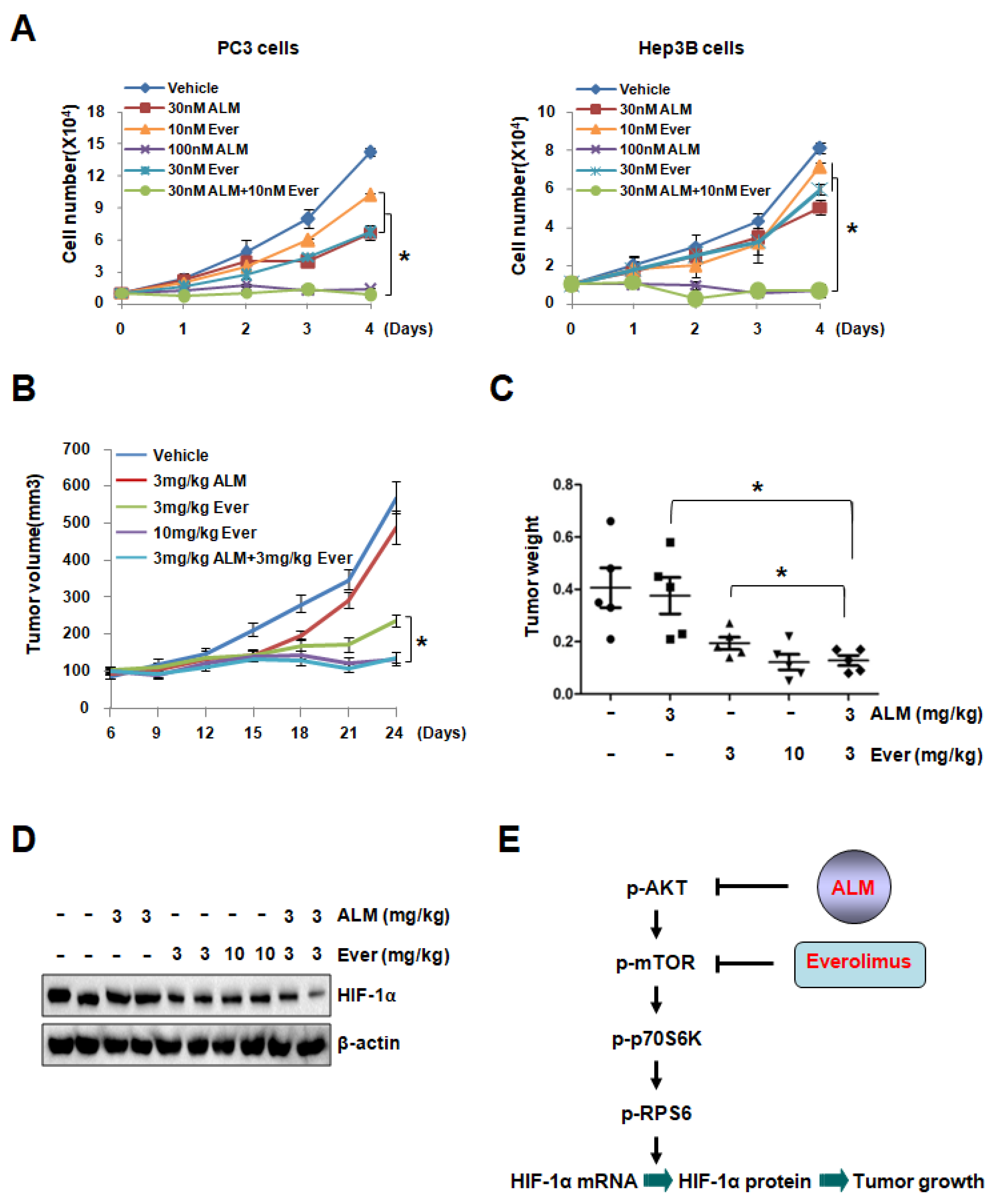 Cells 08 00439 g005 Cells 08 00439 g005