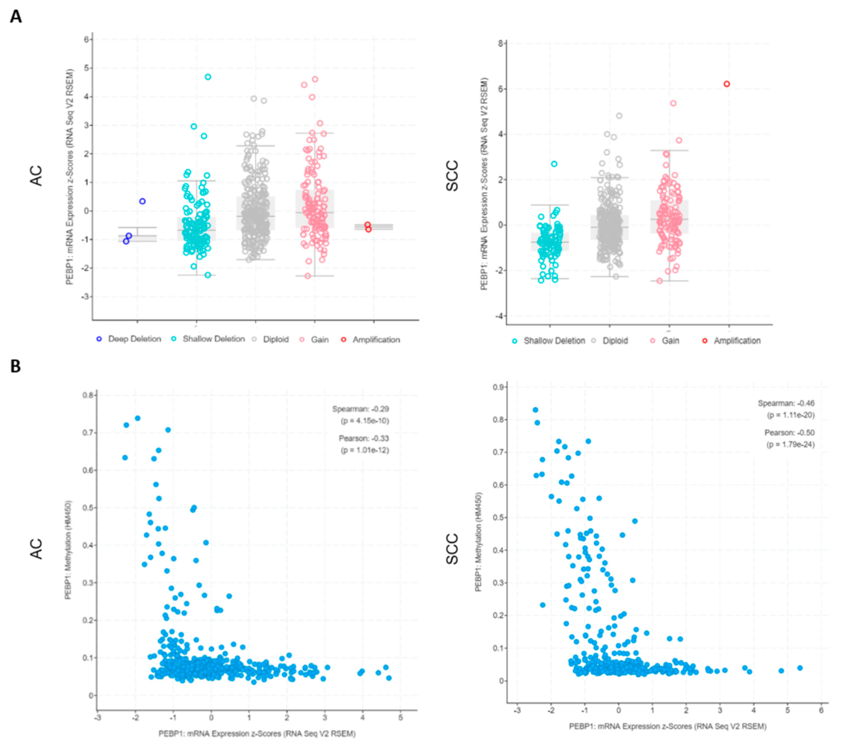 Cells 08 00442 g003 Cells 08 00442 g003