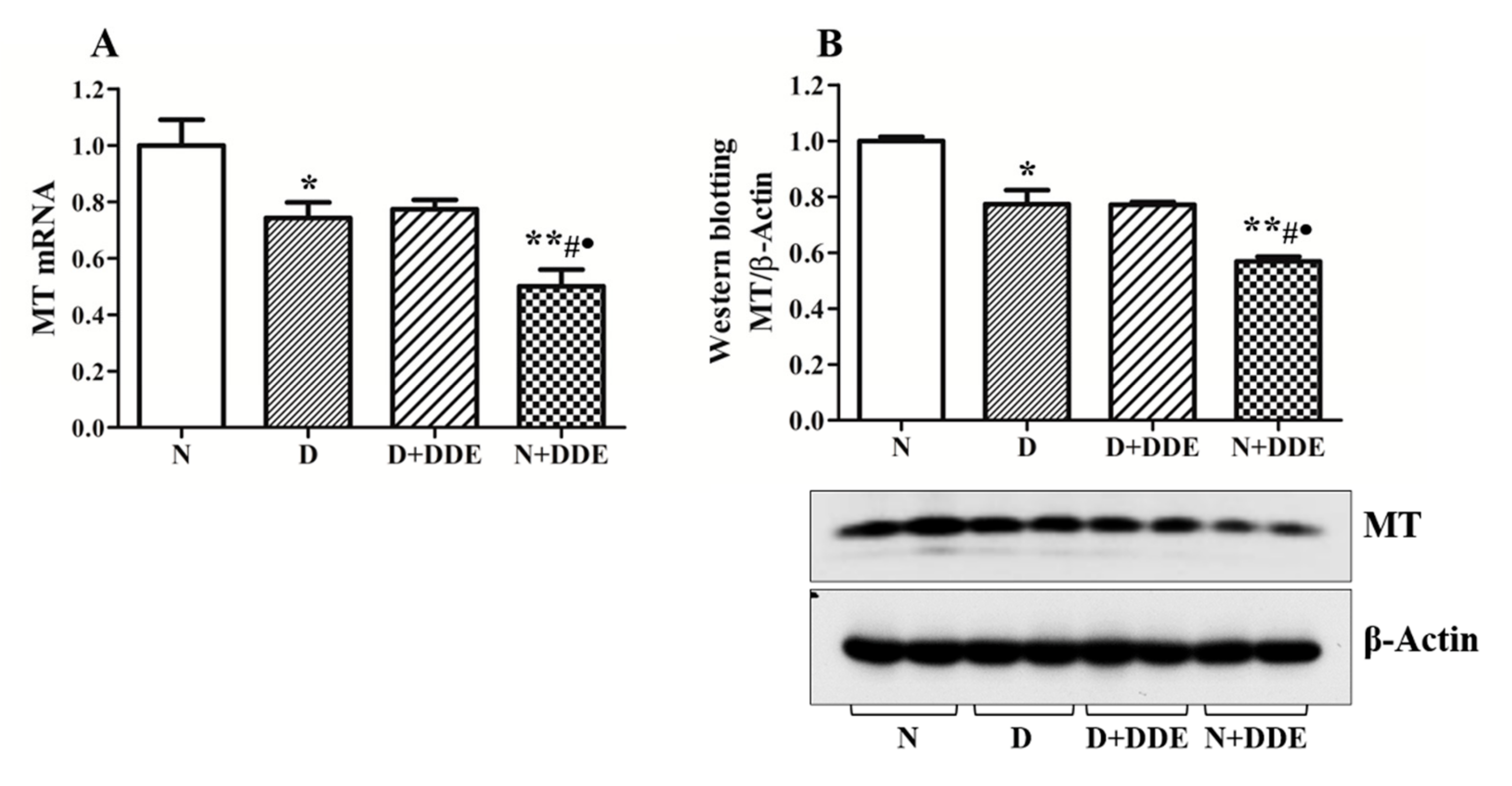 Cells 08 00443 g006 Cells 08 00443 g006