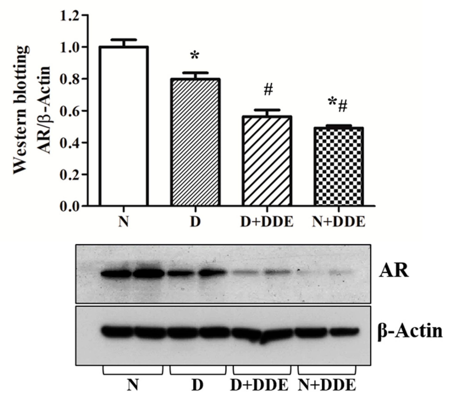 Cells 08 00443 g009 Cells 08 00443 g009