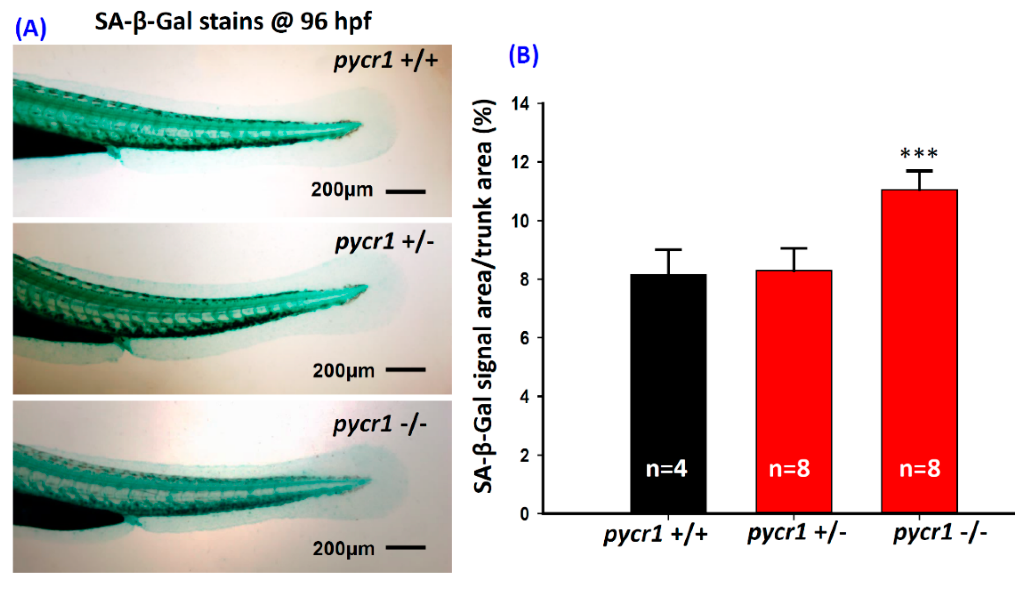 Cells 08 00453 g0a2 Cells 08 00453 g0a2